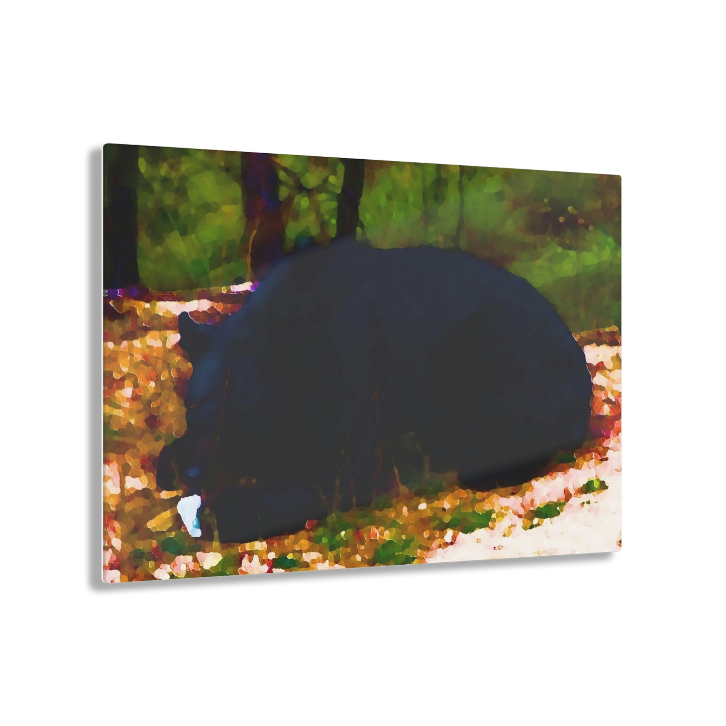 Acrylic Prints ... RCY: "Rhett Creek Yogi ... '500 Lbs Of Autumn Season Hunger' ..."  ... September 2022 ... Central Idaho ... Original Works ...