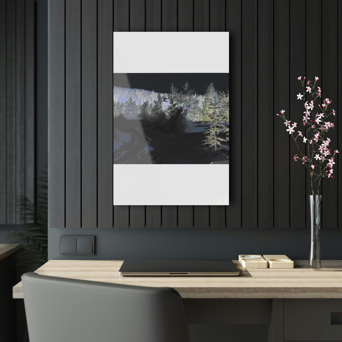 Acrylic Prints ... "No Time 'Like-Air-Time' ..." ... A True Master At His Craft ... December 2022, Rhett Creek, Idaho ... Original Works ...