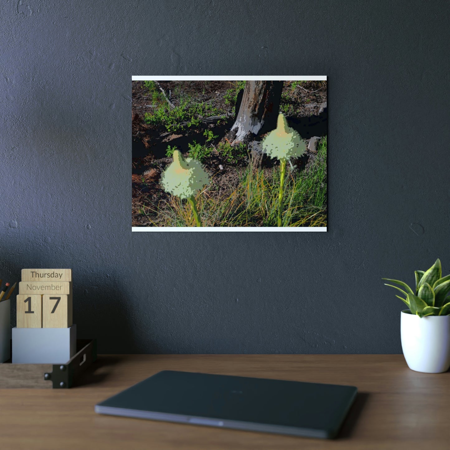 Aluminum Composite Panels ... Native Beargrass (Xerophyllum Spp.) June 2022: "Tells Us The Depth Of Next Winter's Snowpack By Its Spike's Heigth" ... Original Works ...