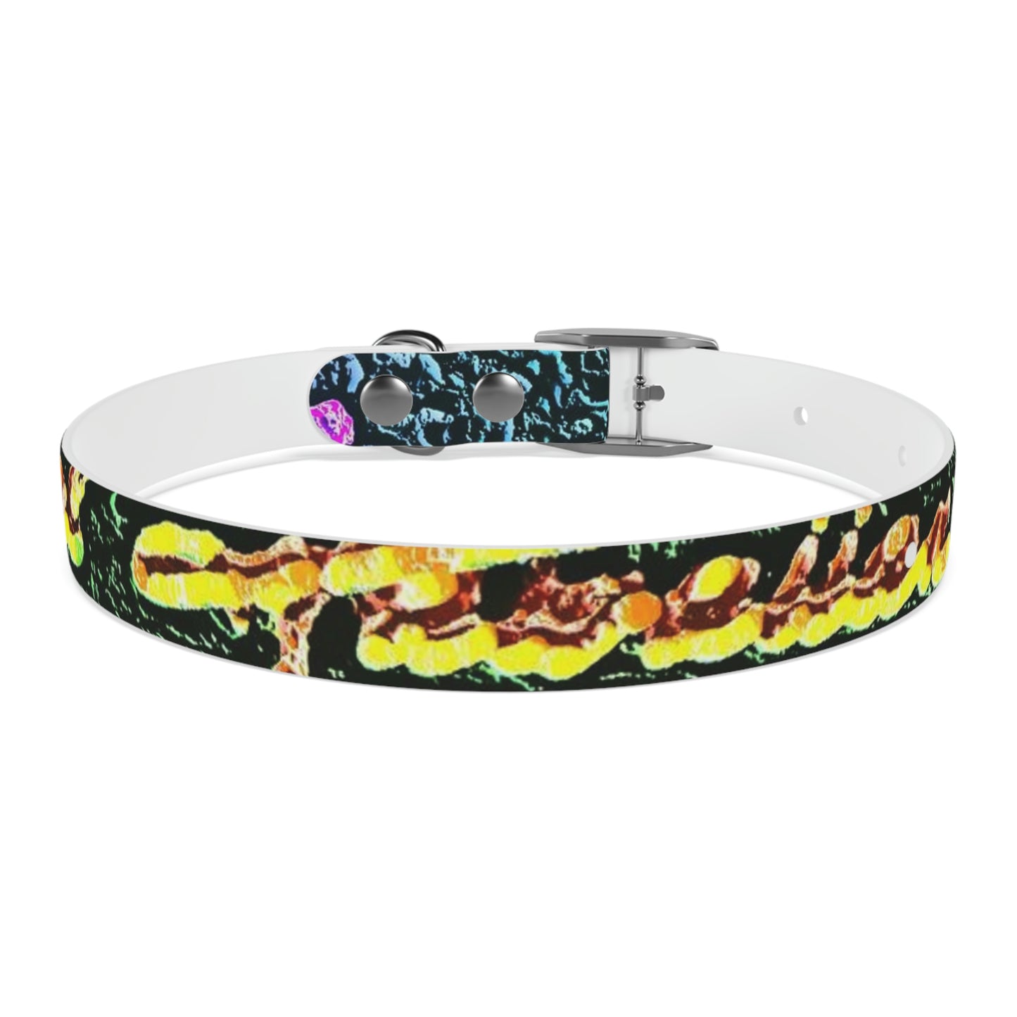 Dog Collar ... "La Grande Entree" At: 'The Pink Palace' ... The Royal Hawai'ian ... Honolulu, HI ... '27Oct2014' ... Original Works ...