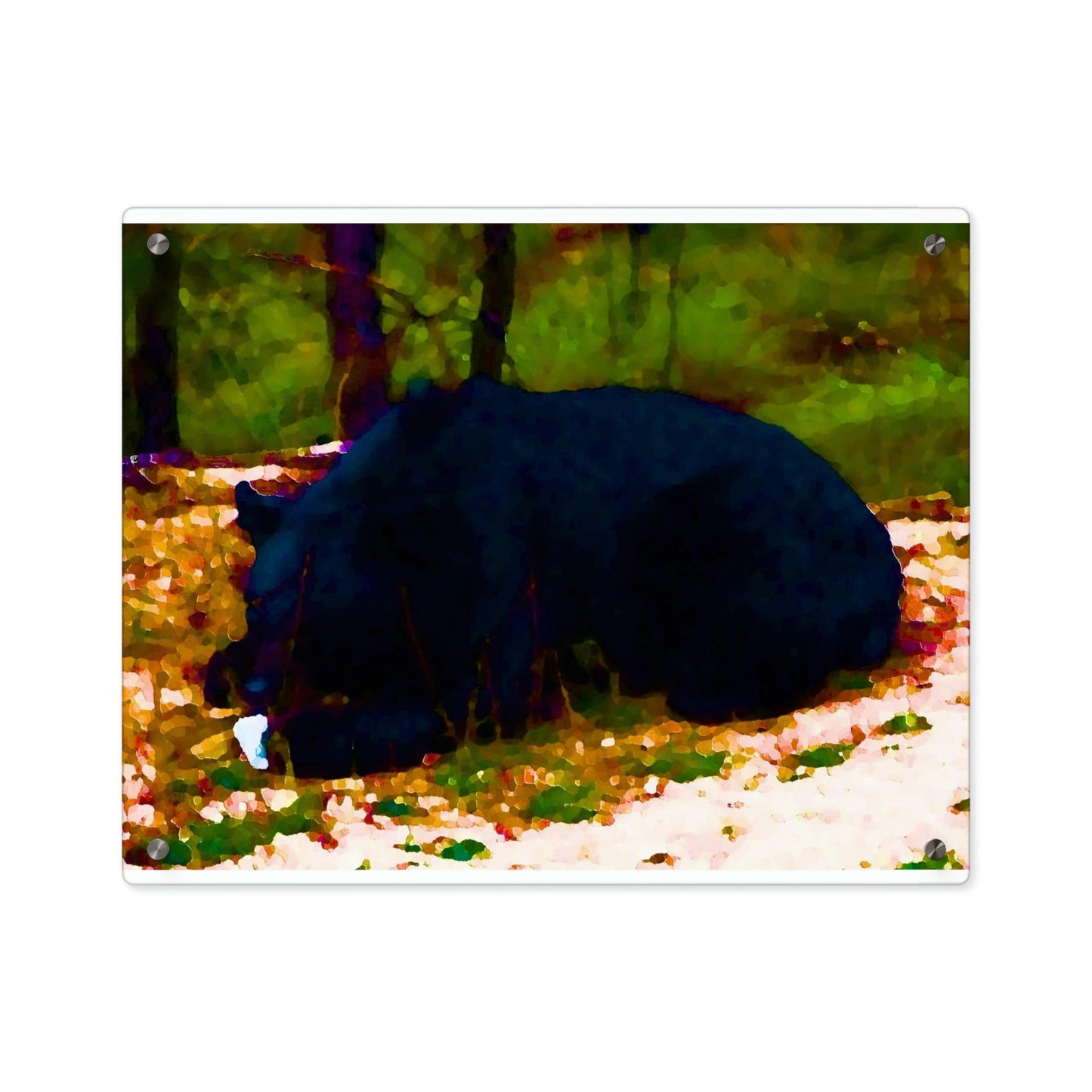 Acrylic Wall Art Panels ... RCY: "Rhett Creek Yogi ... '500 Lbs Of Autumn Season Hunger' ..."  ... September 2022 ... Central Idaho ... Original Works ...