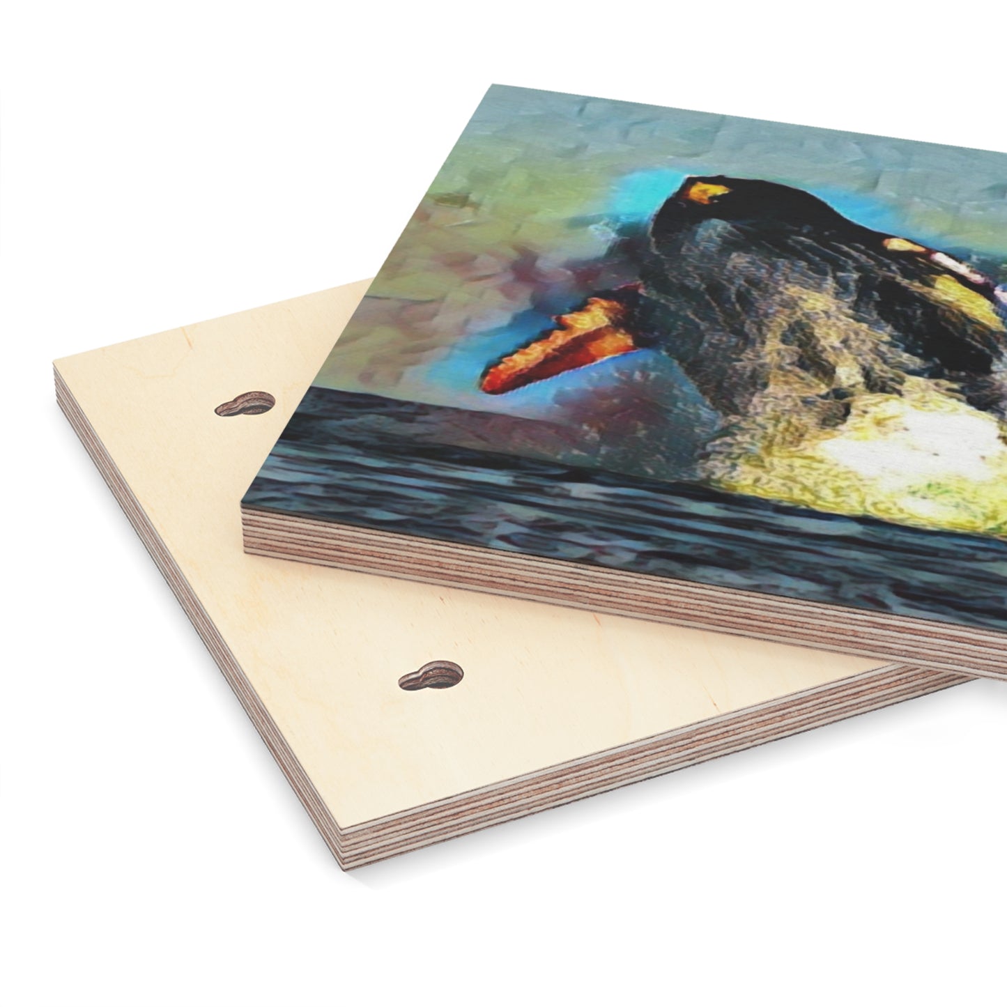 Wood Canvas ... An Extraordinary Humpback Breach ... 'With Explosive Energy' ... Family Archives (KPH) ... Circa: 21st Century. Maui, HI ... Original Works ...