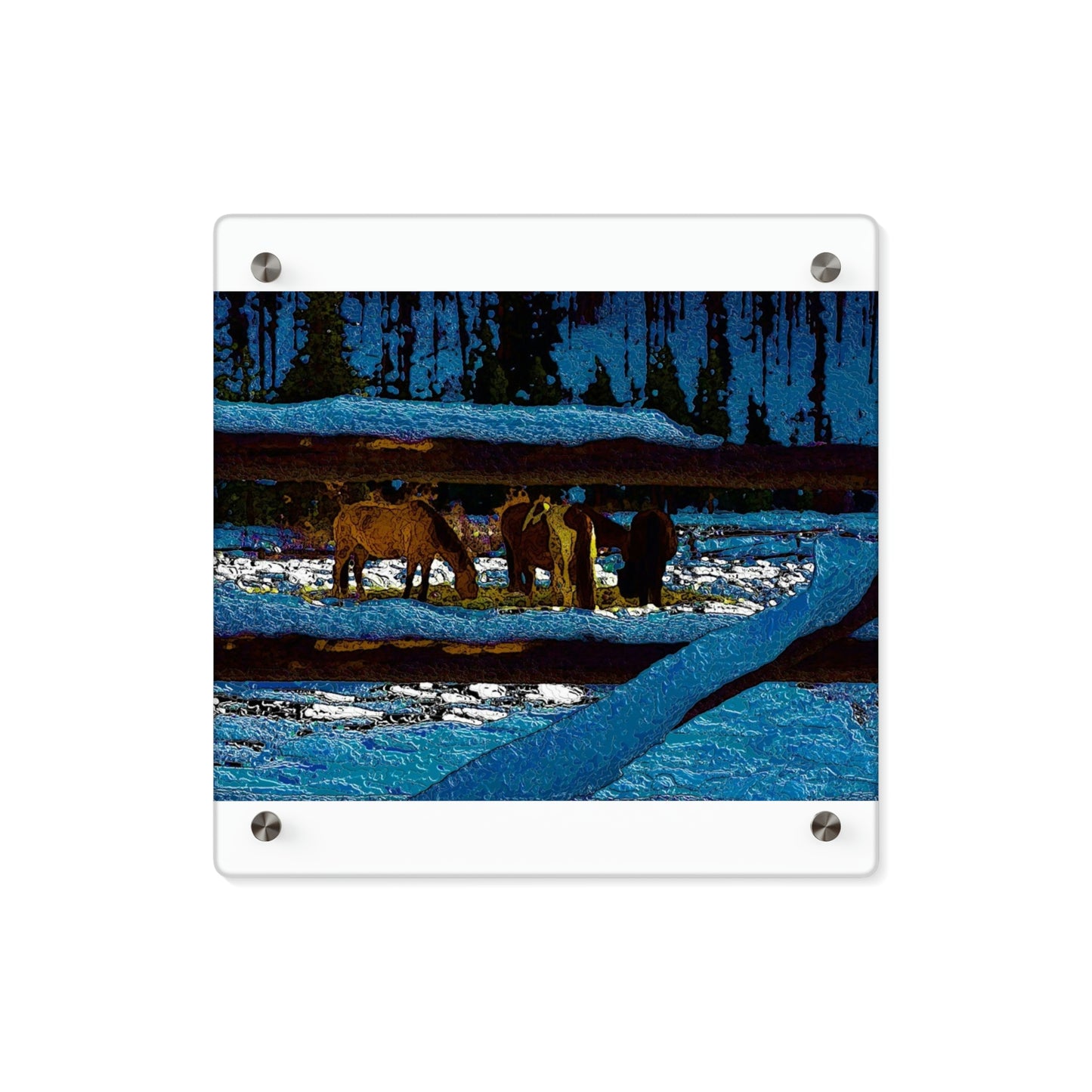 Acrylic Wall Art Panels ... A Horse ... A Saddle ...  Foraging Through The Snow ...  An_Asses 'Cry' ... Central Idaho, November 2022 ...  Original Works ...
