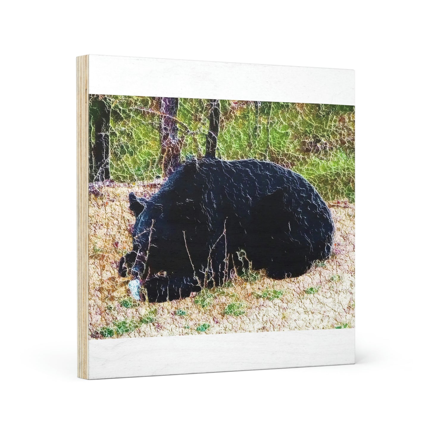 Wood Canvas ... RCY: "Rhett Creek Yogi ... '500 Lbs Of Autumn Season Hunger' ..."  ... September 2022 ... Central Idaho ... Original Works ...