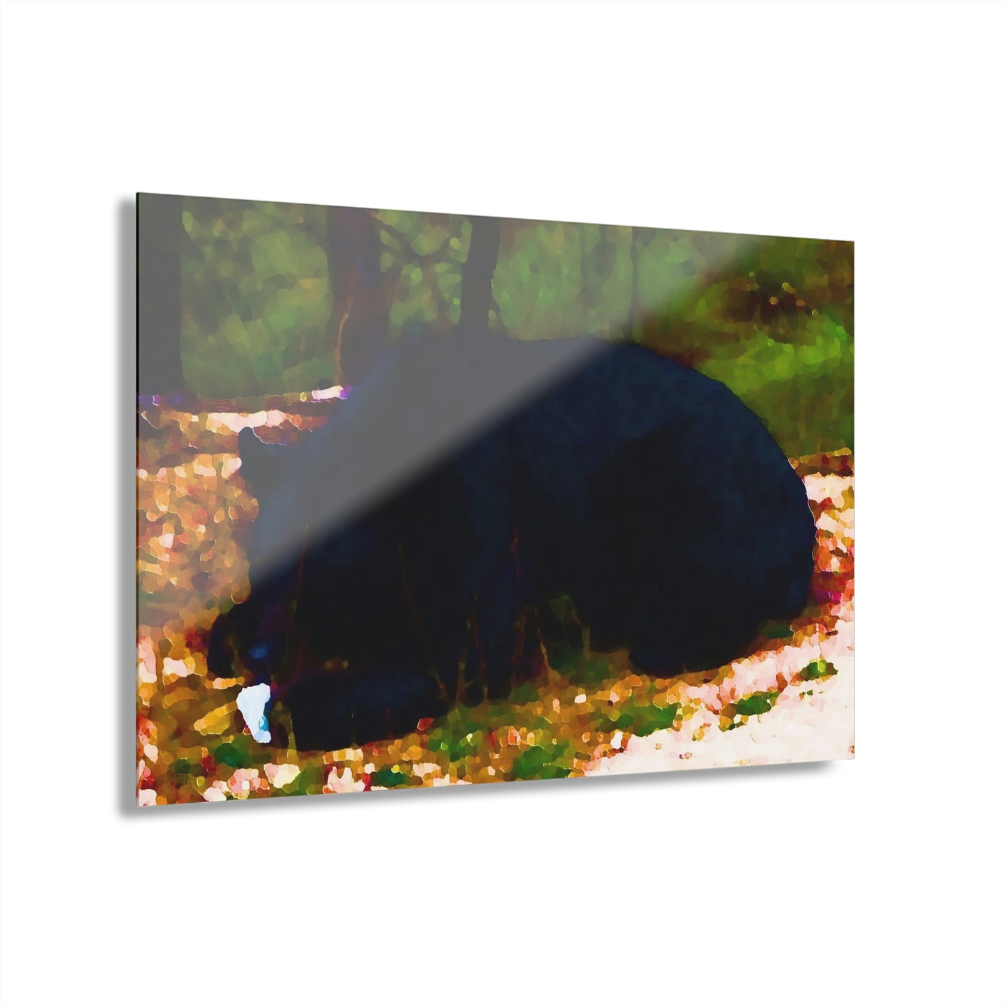 Acrylic Prints (French Cleat Hanging) ... RCY: "Rhett Creek Yogi ... '500 Lbs Of Autumn Season Hunger' ..."  ... September 2022 ... Central Idaho ... Original Works ...