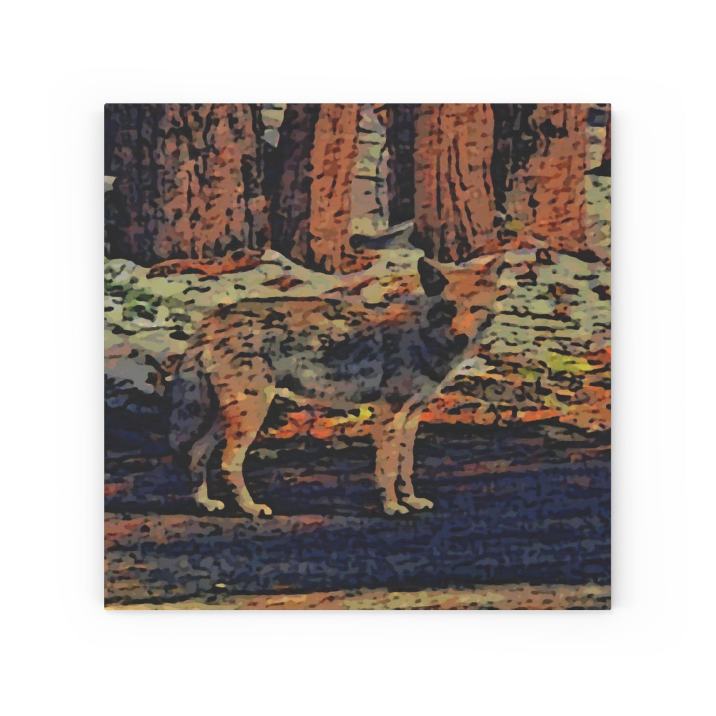 Wood Canvas ... Coyote ... "Yosemite Valley: Circa May23 ... KPH Base Photo" ... Original Works ...