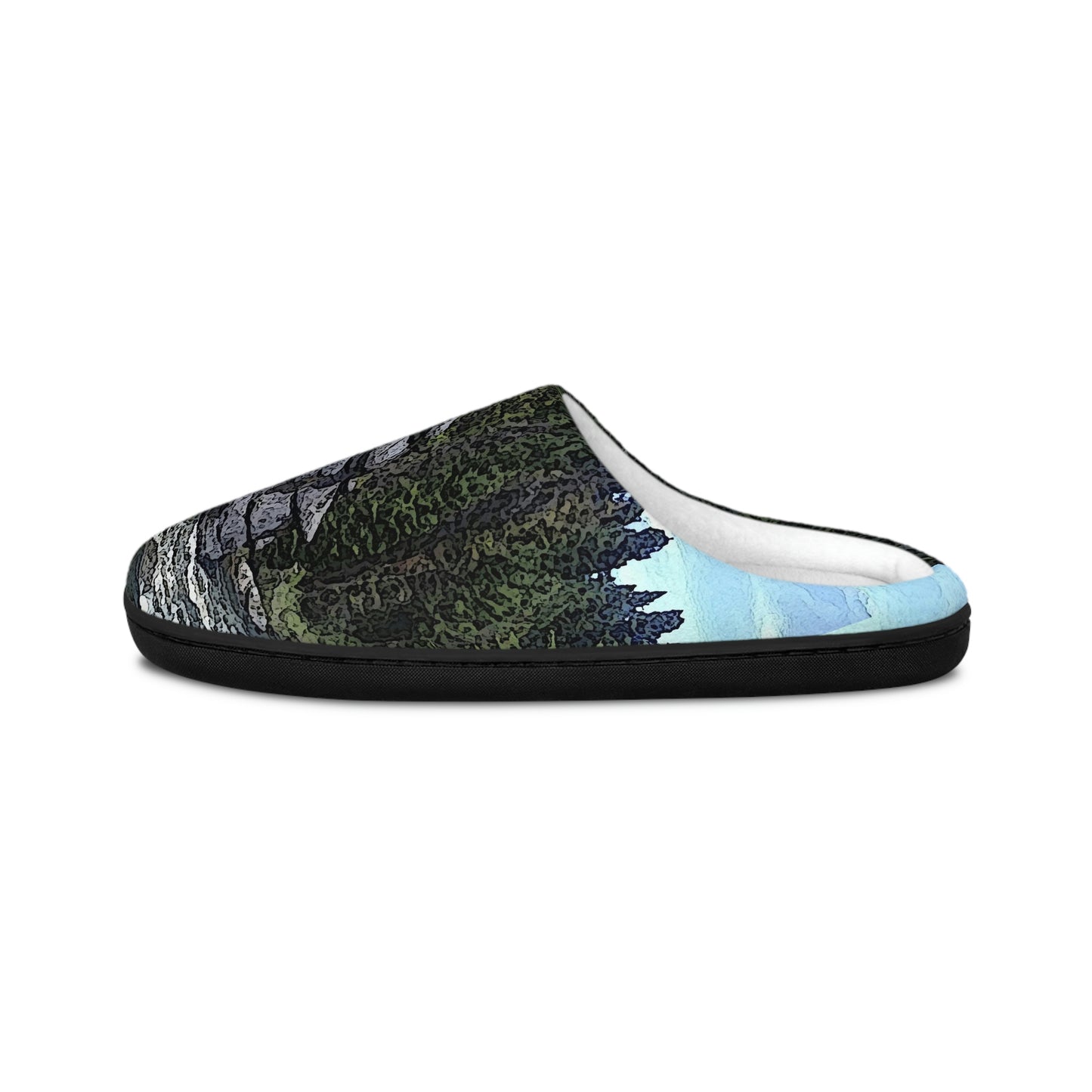 Men's Indoor Slippers ..."I Am Innocent" ... Tricky-Dick Immortalized ... Nixon Rock: Along The River ... Central Idaho, Summer 2020 ... Original Works ...