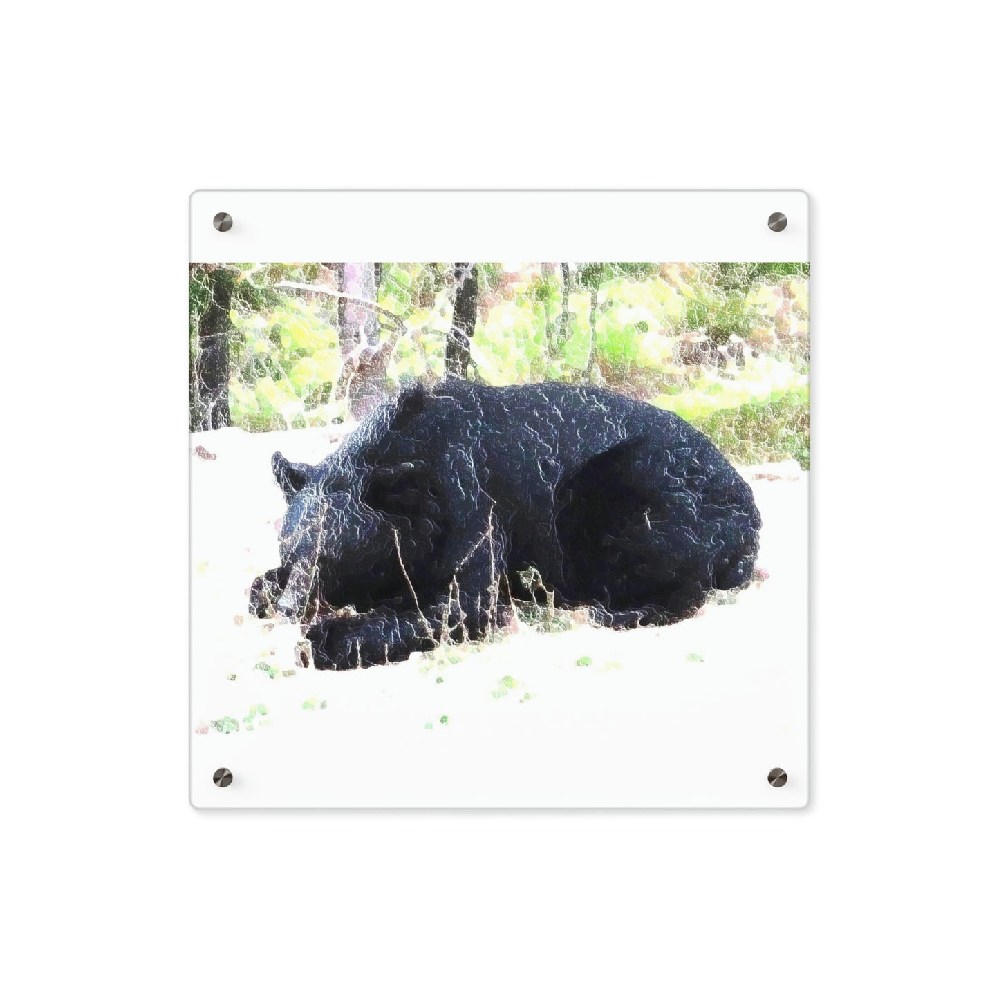 Acrylic Wall Art Panels ... RCY: "Rhett Creek Yogi ... '500 Lbs Of Autumn Season Hunger' ..."  ... September 2022 ... Central Idaho ... Original Works ...