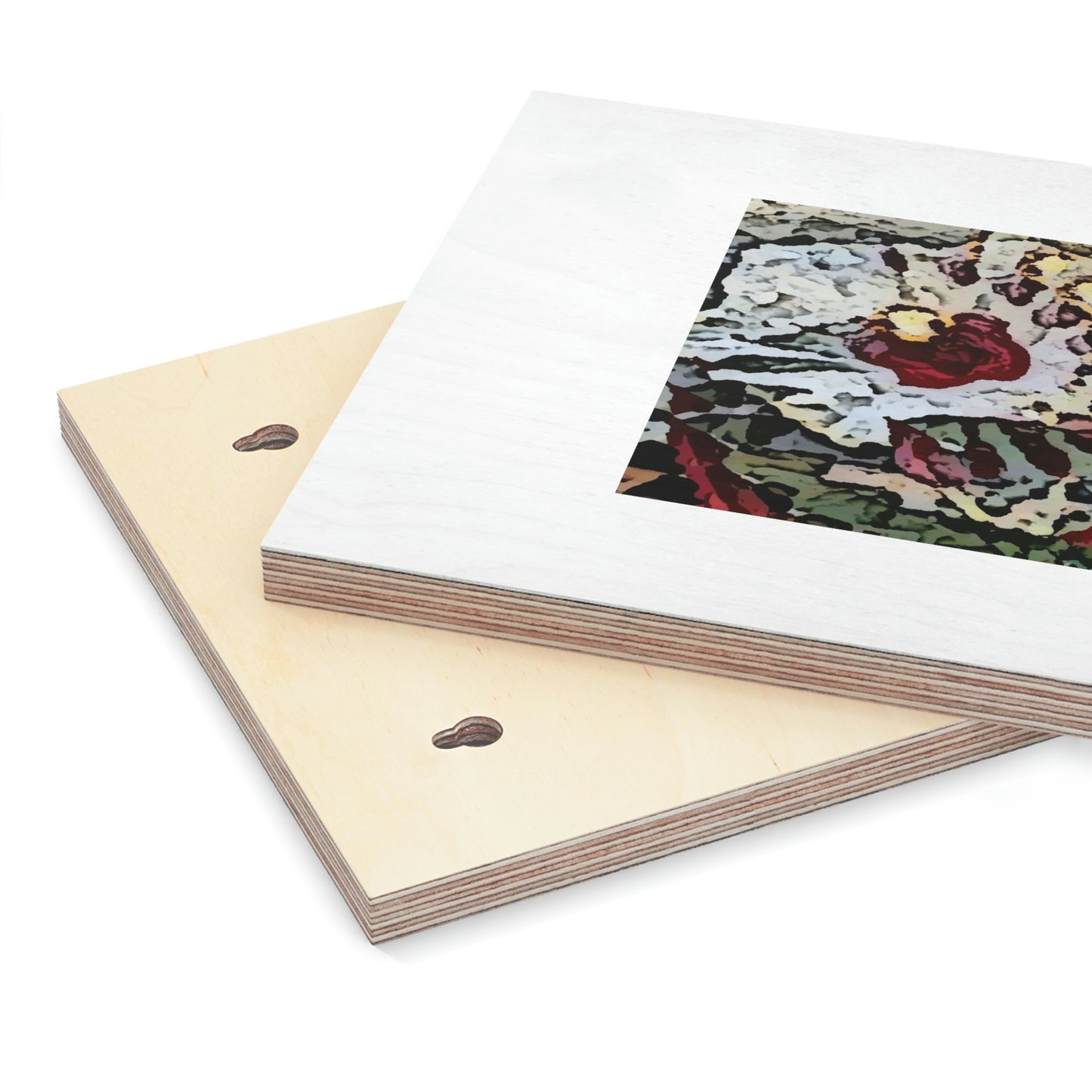 Wood Canvas ... "A Friendly Flower" ... Pointsettia 'Pointing' ... Original Works ... (Supplied Photograph) ...