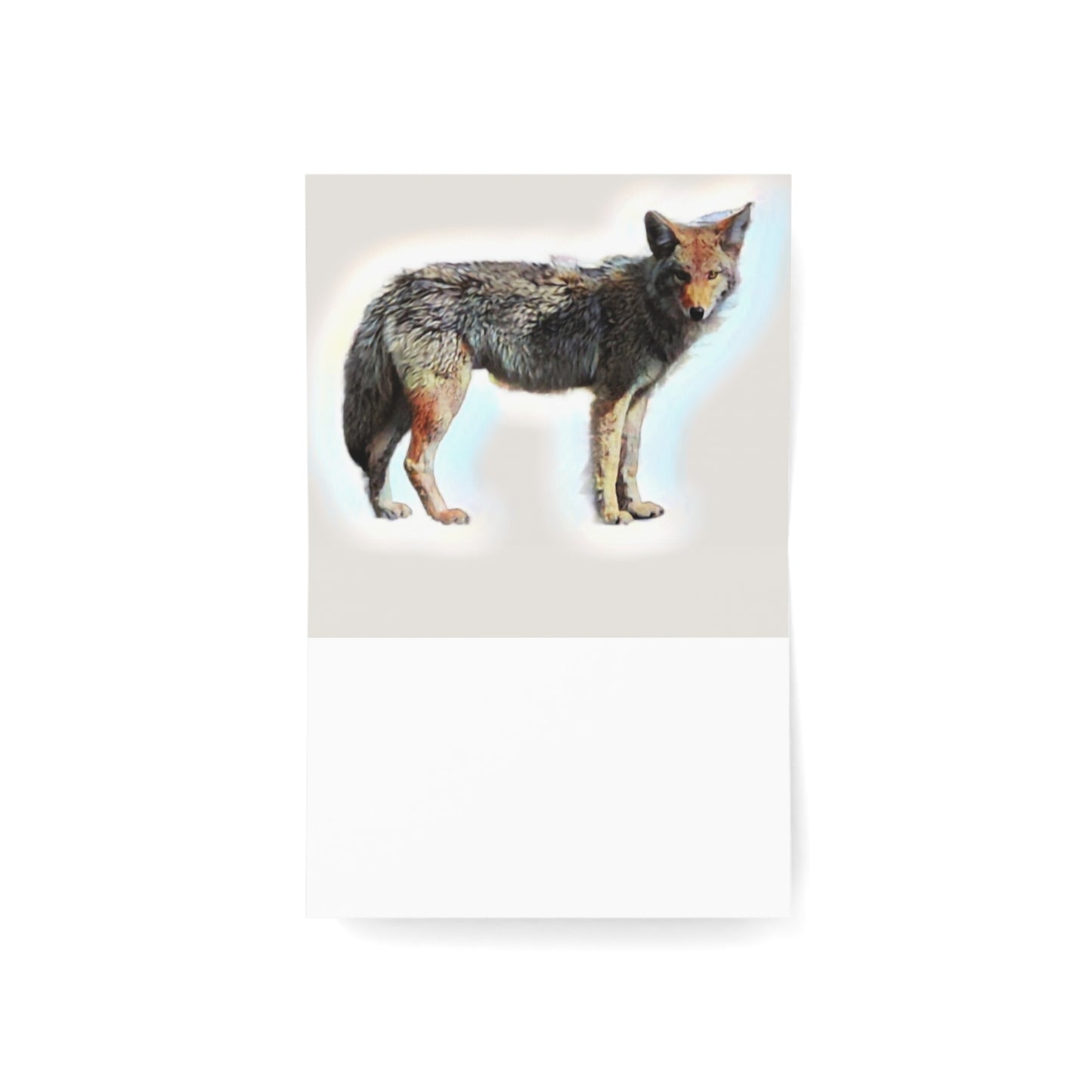 Greeting Cards (1, 10, 30, and 50pcs) ... Coyote ... "Yosemite Valley: Circa May23 ... KPH Base Photo" ... Original Works ...