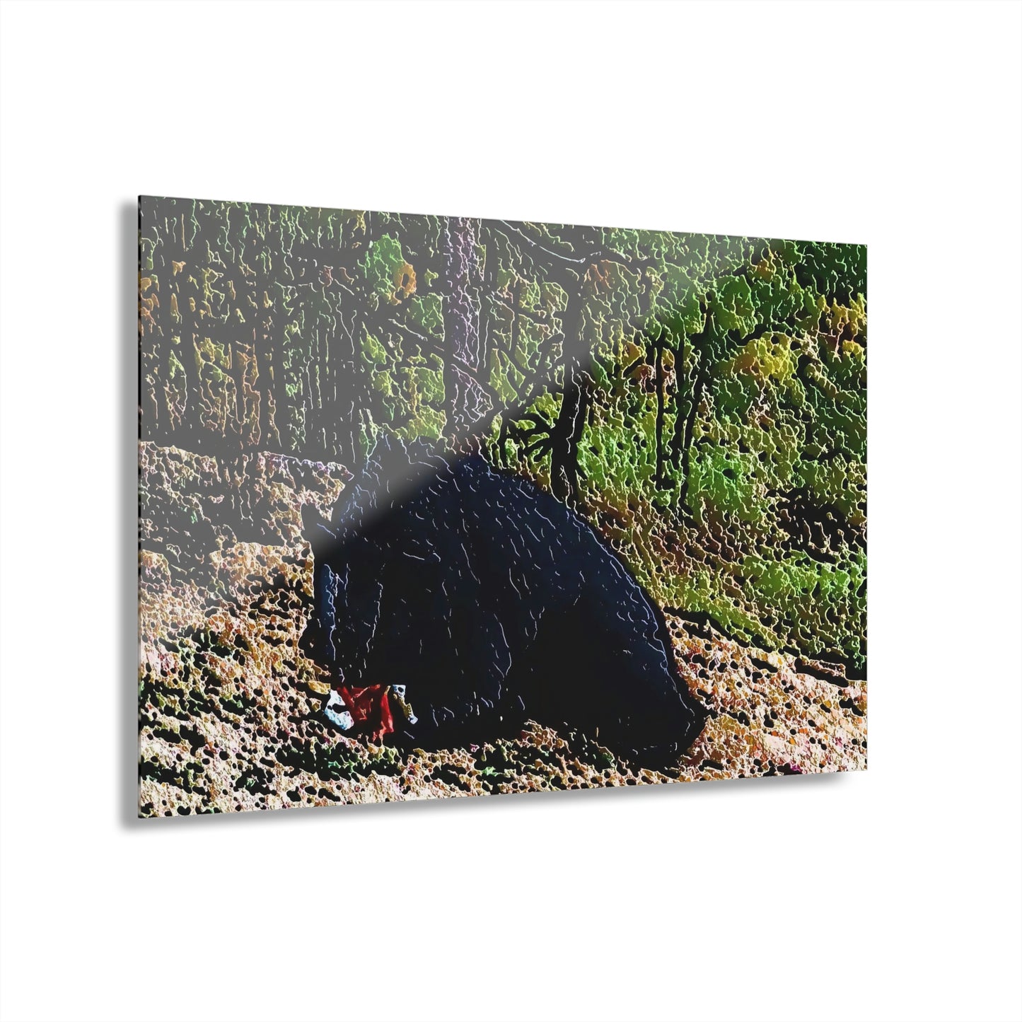 Acrylic Prints (French Cleat Hanging) ... RCY: "Rhett Creek Yogi ... '500 Lbs Of Autumn Season Hunger' ..."  ... September 2022 ... Central Idaho ... Original Works ...