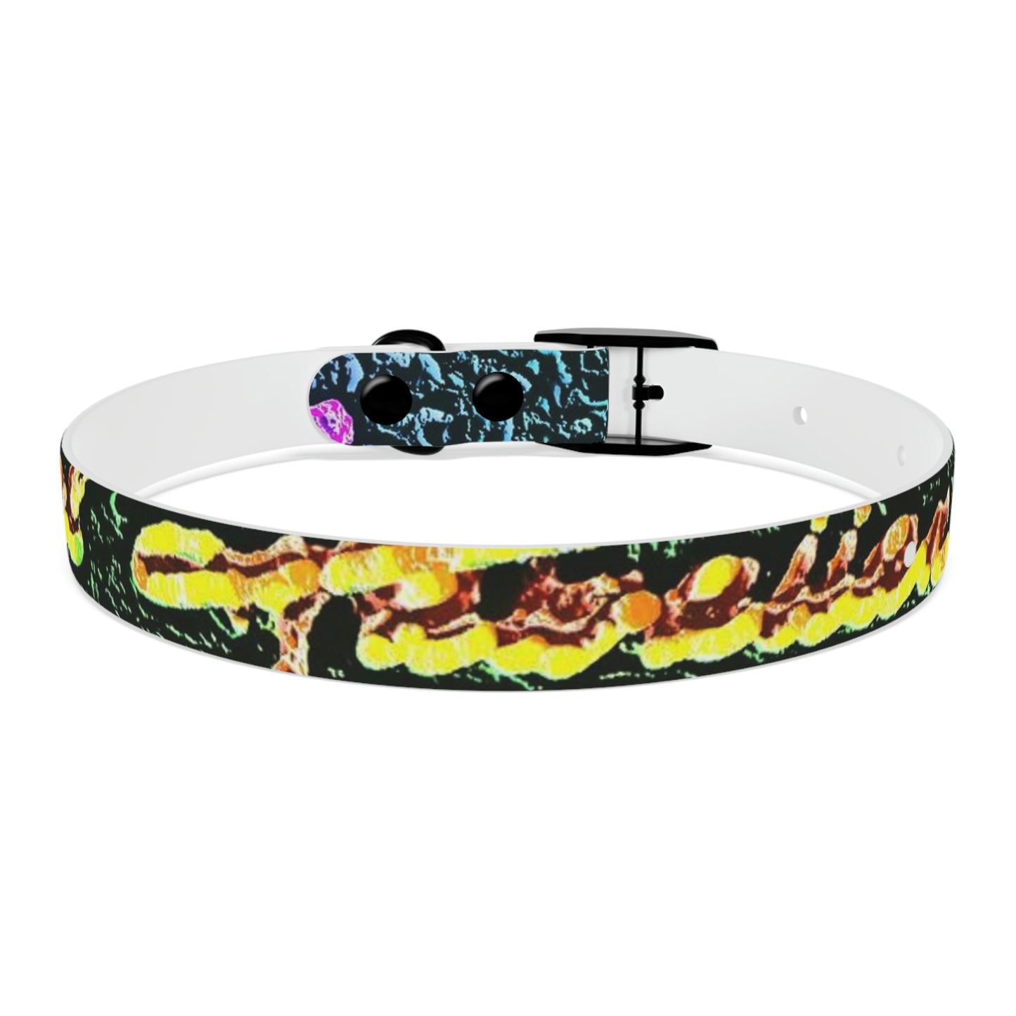 Dog Collar ... "La Grande Entree" At: 'The Pink Palace' ... The Royal Hawai'ian ... Honolulu, HI ... '27Oct2014' ... Original Works ...