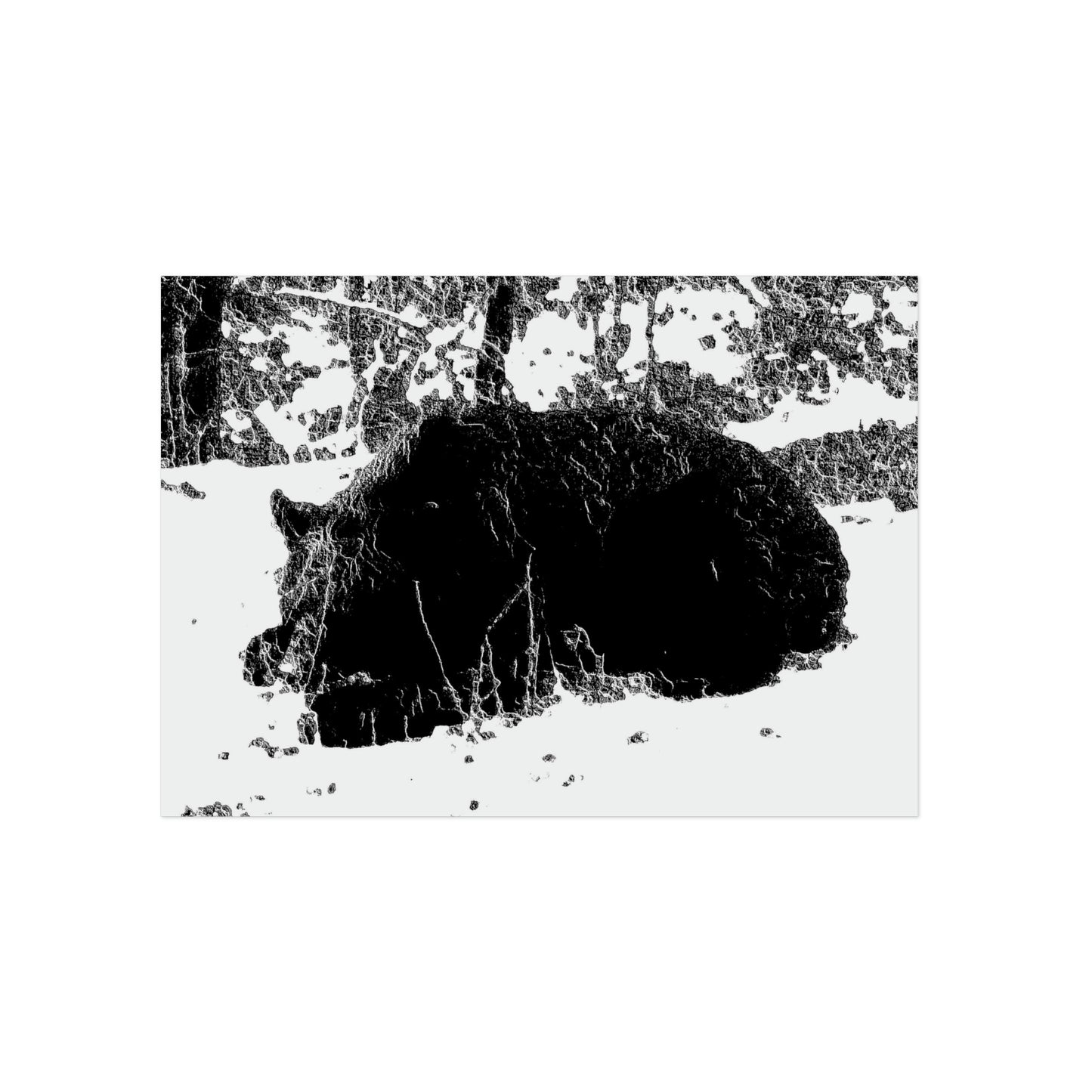 Aluminum Composite Panels ... A Local 'Yogi' ... RCY: "Rhett Creek Yogi: 500#'s Of Hungry Black Bear" ... 28-29Sep23 ... Original Works ... Client Project-Folio ...