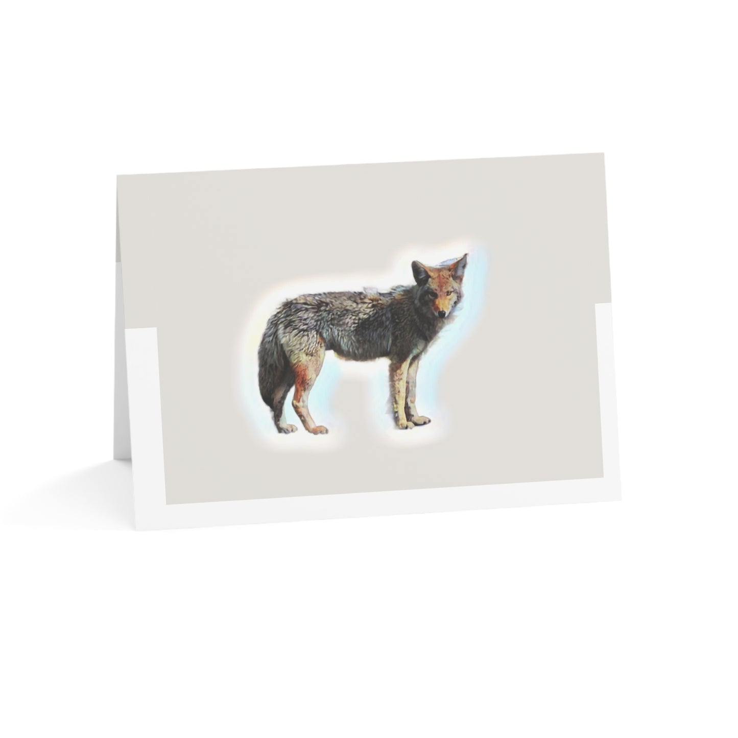 Greeting Cards (1, 10, 30, and 50pcs) ... Coyote ... "Yosemite Valley: Circa May23 ... KPH Base Photo" ... Original Works ...