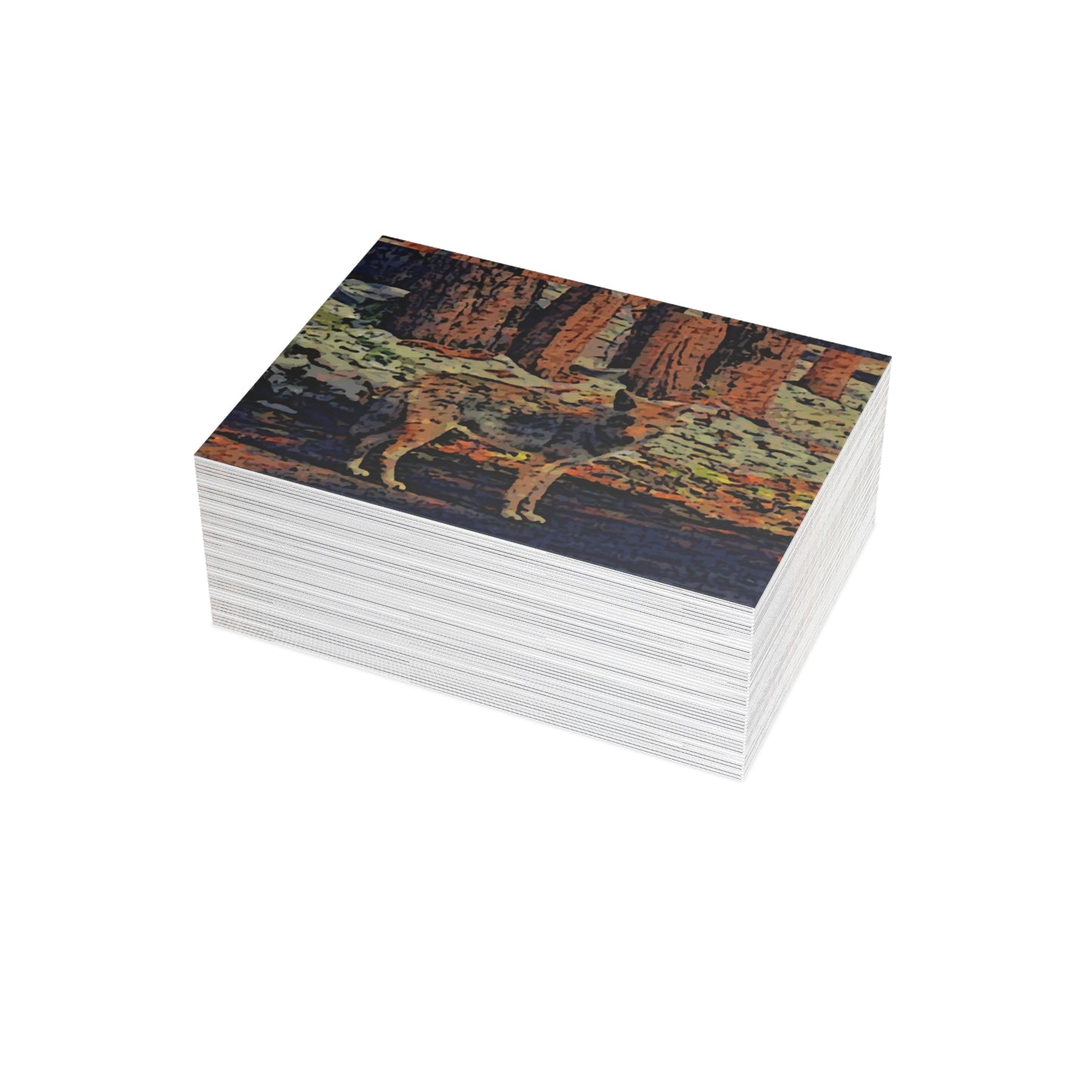 Greeting Cards (1, 10, 30, and 50pcs) ... Coyote ... "Yosemite Valley: Circa May23 ... KPH Base Photo" ... Original Works ...