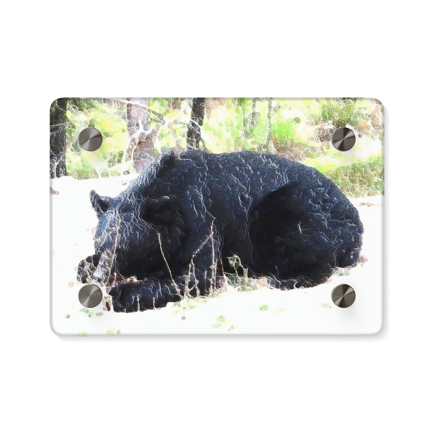 Acrylic Wall Art Panels ... RCY: "Rhett Creek Yogi ... '500 Lbs Of Autumn Season Hunger' ..."  ... September 2022 ... Central Idaho ... Original Works ...