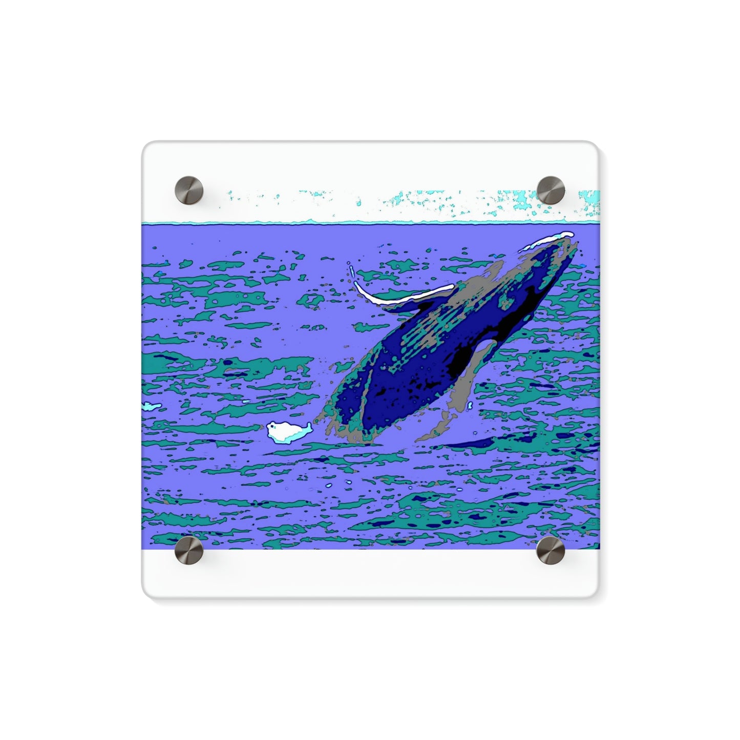 Acrylic Wall Art Panels ... Baby Humpback Breaching ... Maui, HI: April 2022 ... "Family Archives: KPH" ... Original Works ...