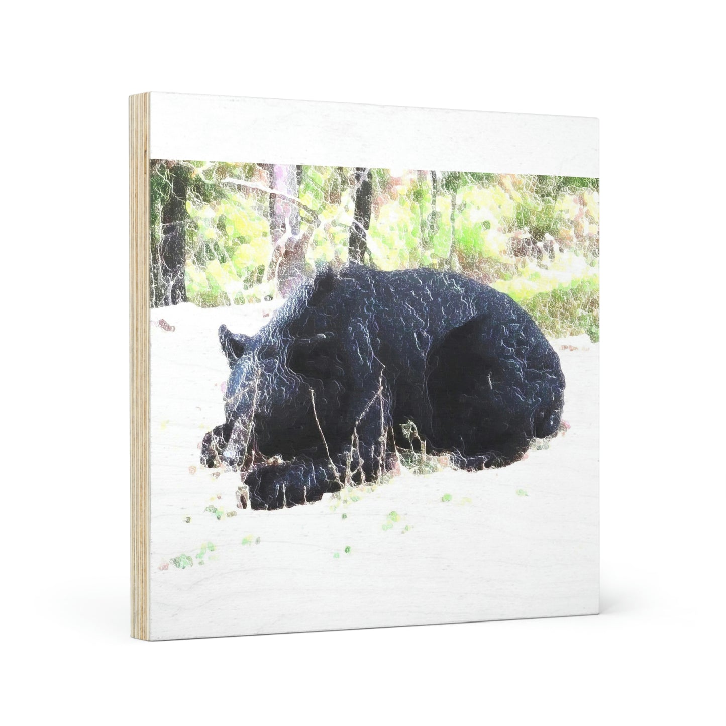 Wood Canvas ... RCY: "Rhett Creek Yogi ... '500 Lbs Of Autumn Season Hunger' ..."  ... September 2022 ... Central Idaho ... Original Works ...