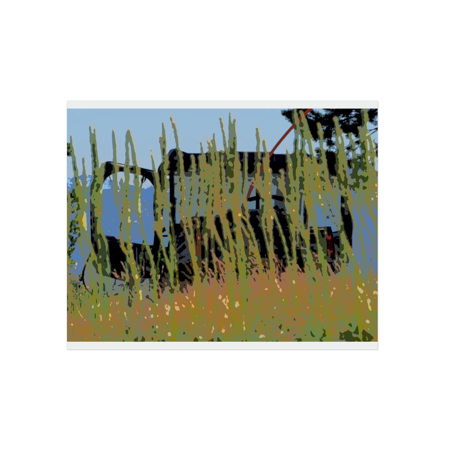 Aluminum Composite Panels ... The Beargrass (Xerophyllum Spp.) Of Green Mountain Fire Lookout ... "Magruder Corridor" ... August 2022 ... Original Works ...