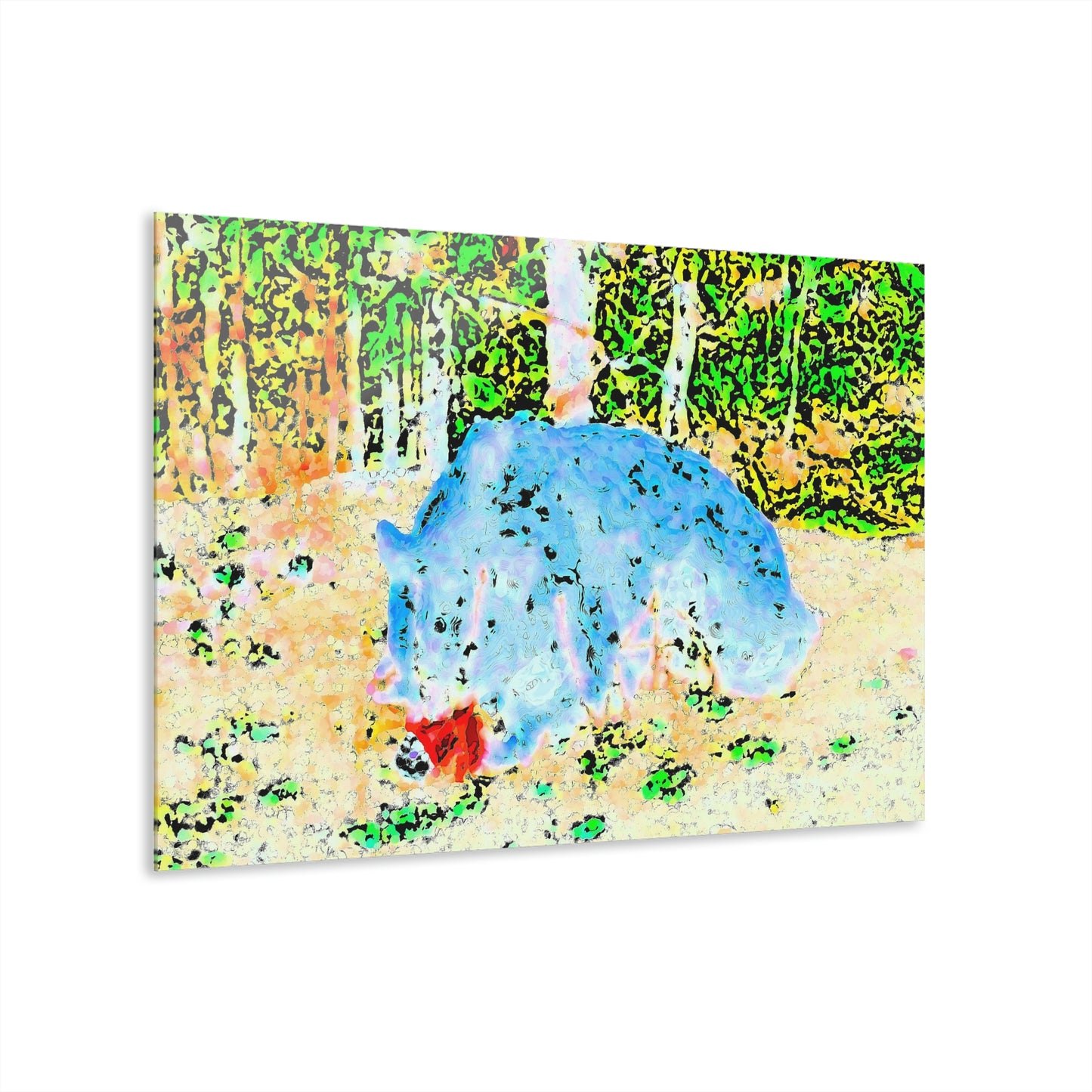 Acrylic Prints (French Cleat Hanging) ... RCY: "Rhett Creek Yogi ... '500 Lbs Of Autumn Season Hunger' ..."  ... September 2022 ... Central Idaho ... Original Works ...