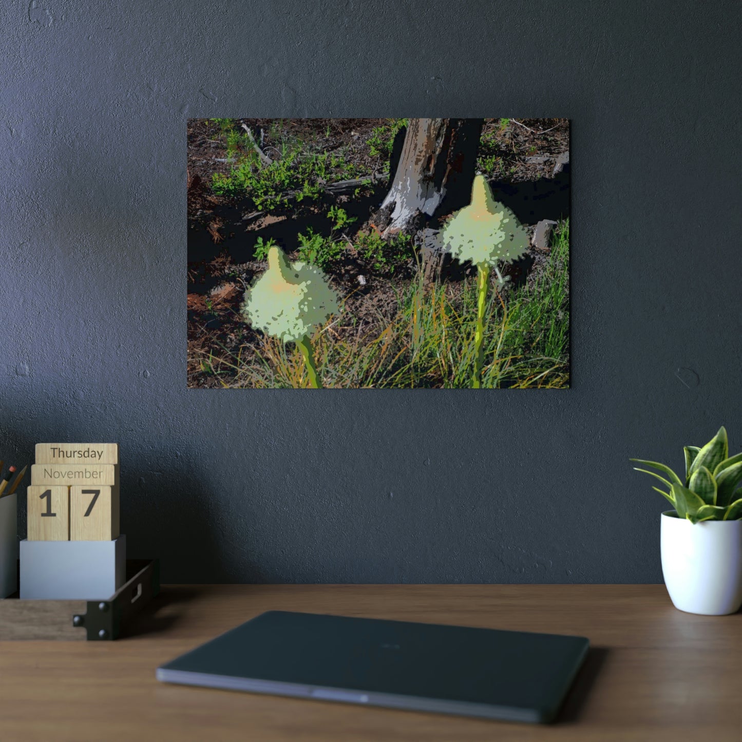 Aluminum Composite Panels ... Native Beargrass (Xerophyllum Spp.) June 2022: "Tells Us The Depth Of Next Winter's Snowpack By Its Spike's Heigth" ... Original Works ...