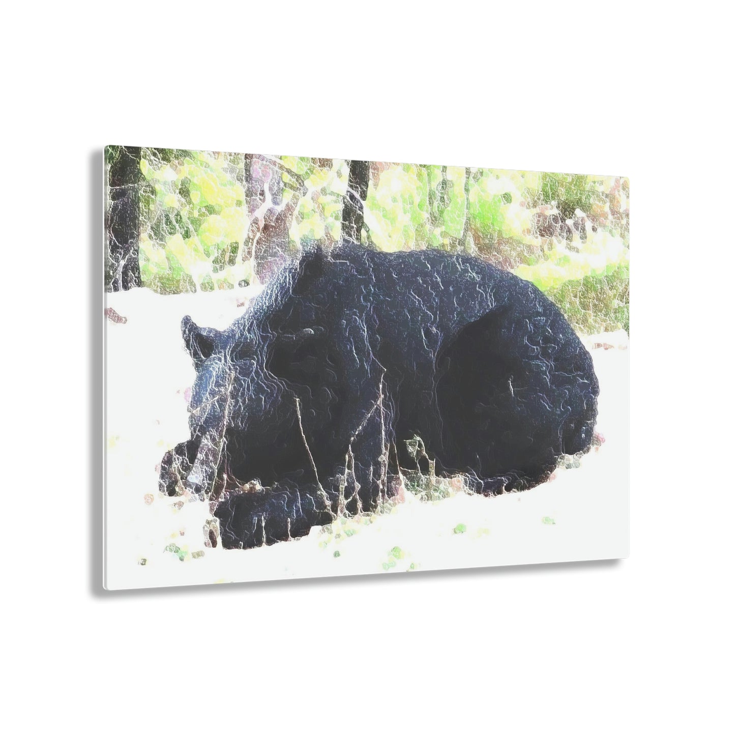 Acrylic Prints ... RCY: "Rhett Creek Yogi ... '500 Lbs Of Autumn Season Hunger' ..."  ... September 2022 ... Central Idaho ... Original Works ...