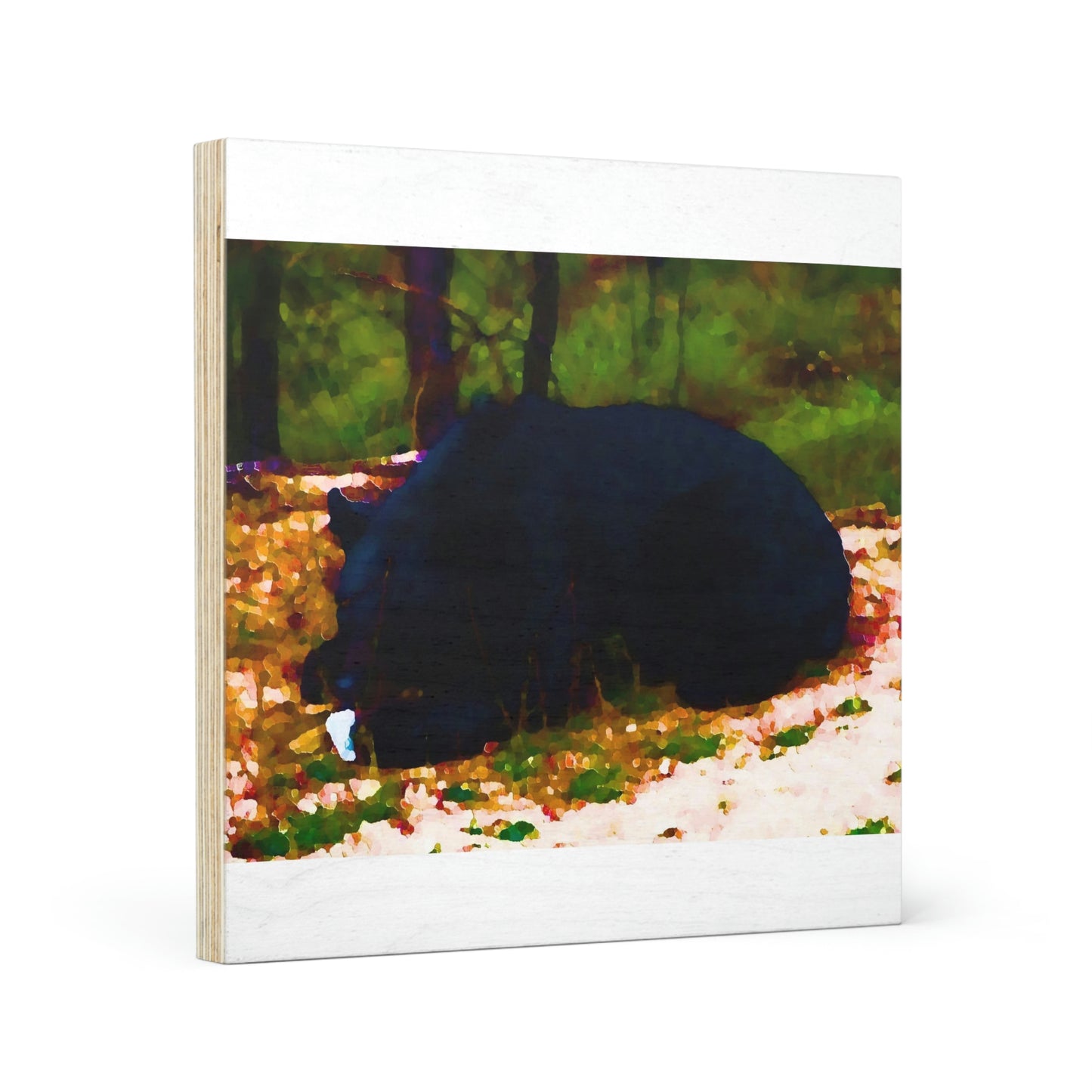 Wood Canvas ... RCY: "Rhett Creek Yogi ... '500 Lbs Of Autumn Season Hunger' ..."  ... September 2022 ... Central Idaho ... Original Works ...