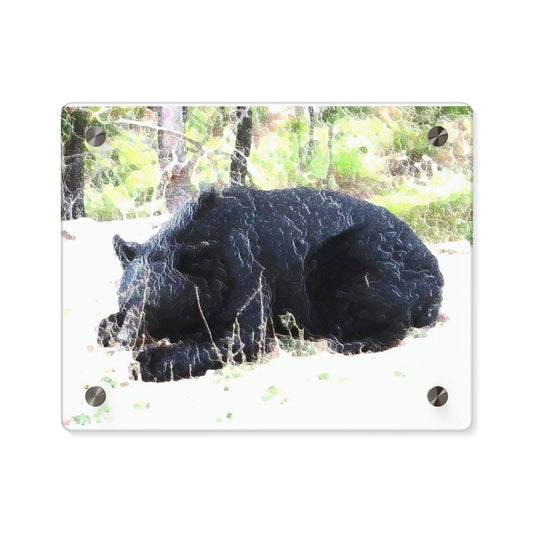 Acrylic Wall Art Panels ... RCY: "Rhett Creek Yogi ... '500 Lbs Of Autumn Season Hunger' ..."  ... September 2022 ... Central Idaho ... Original Works ...
