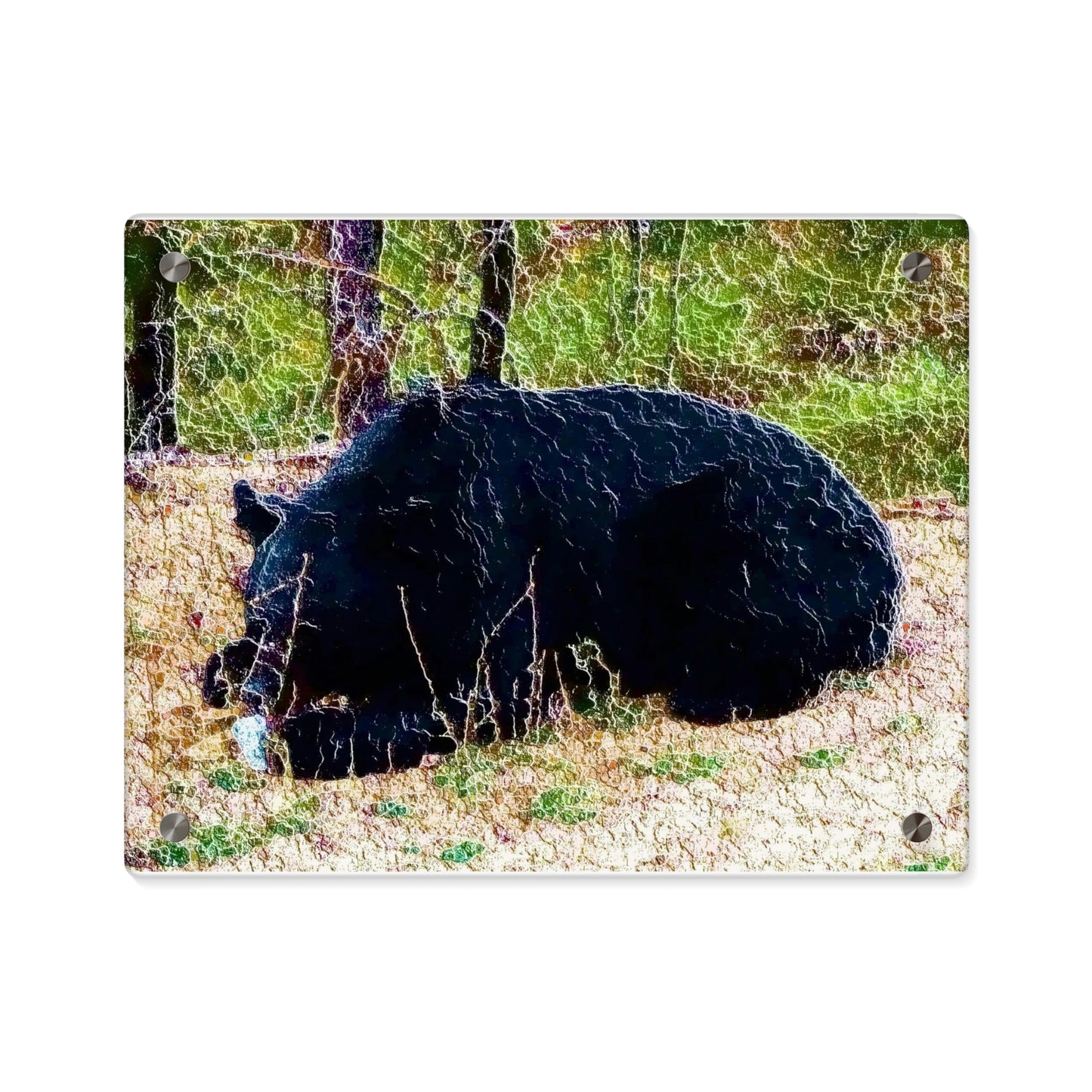 Acrylic Wall Art Panels ... RCY: "Rhett Creek Yogi ... '500 Lbs Of Autumn Season Hunger' ..."  ... September 2022 ... Central Idaho ... Original Works ...