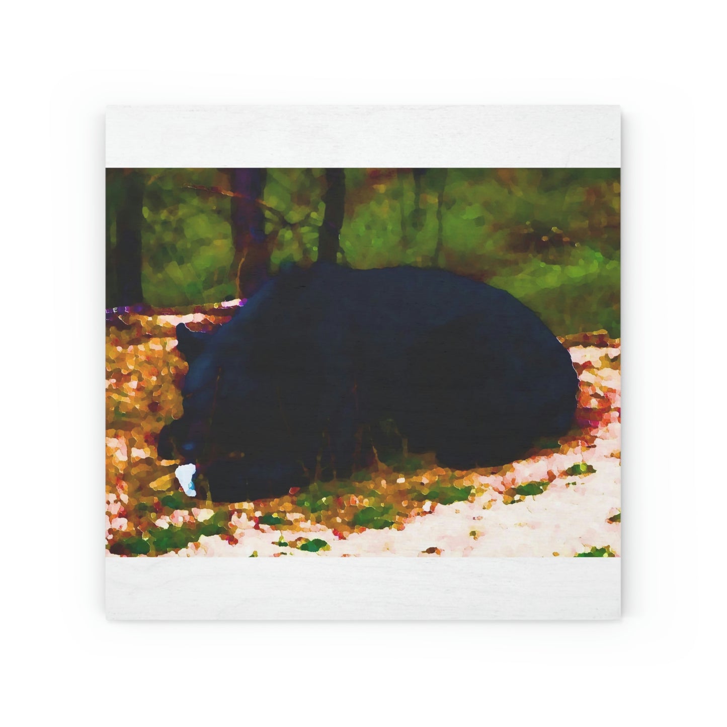 Wood Canvas ... RCY: "Rhett Creek Yogi ... '500 Lbs Of Autumn Season Hunger' ..."  ... September 2022 ... Central Idaho ... Original Works ...