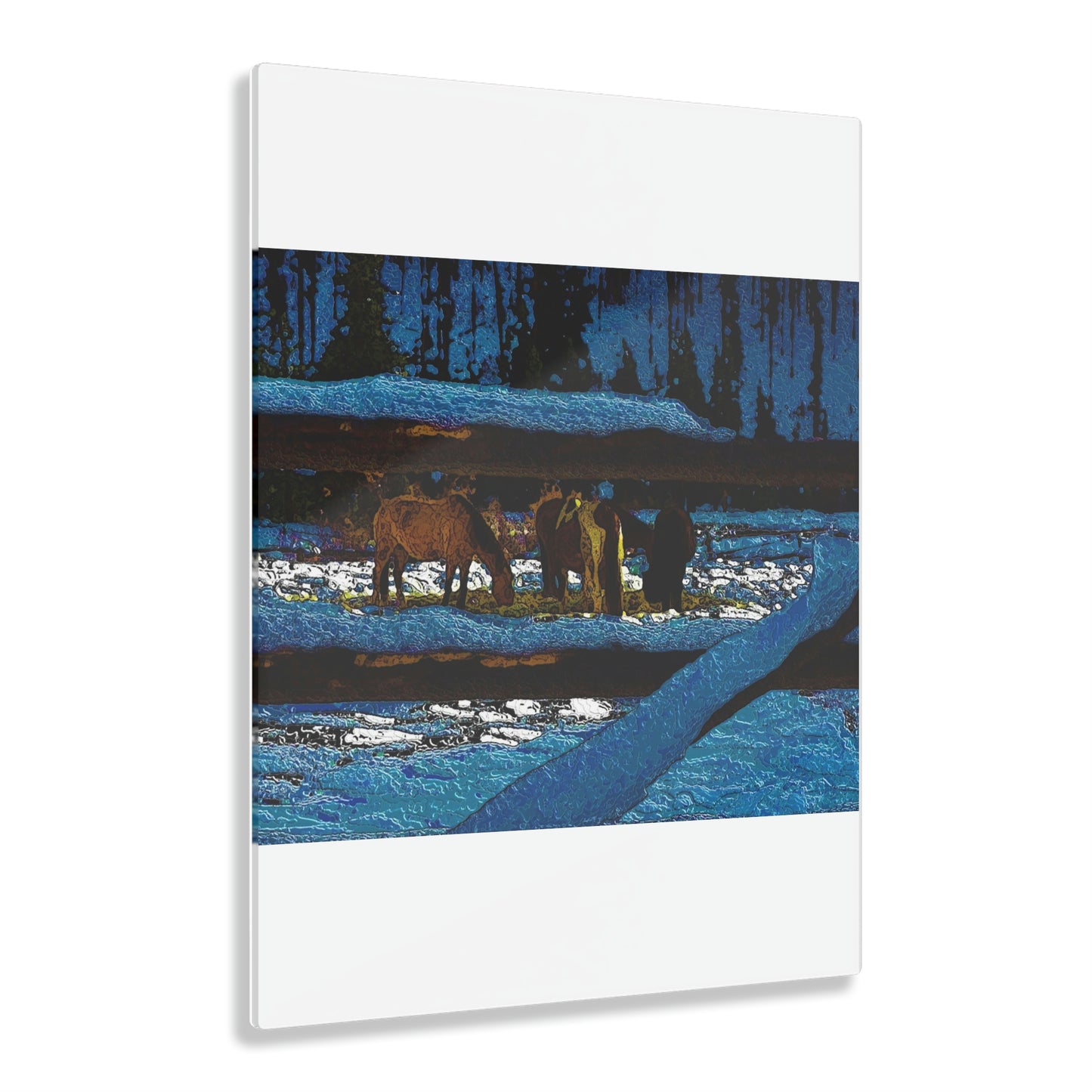 Acrylic Prints ... A Horse ... A Saddle ...  Foraging Through The Snow ...  An_Asses 'Cry' ... Central Idaho, November 2022 ...  Original Works ...
