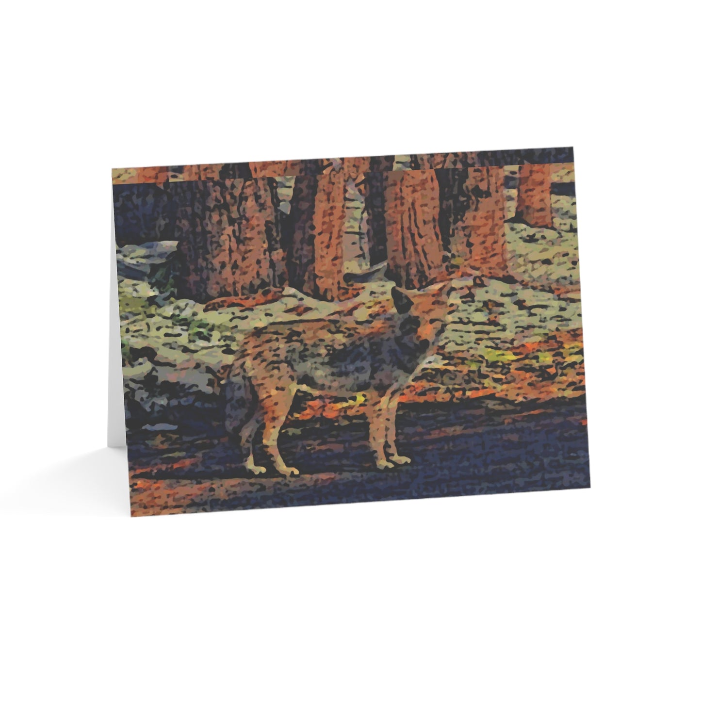 Greeting Cards (1, 10, 30, and 50pcs) ... Coyote ... "Yosemite Valley: Circa May23 ... KPH Base Photo" ... Original Works ...