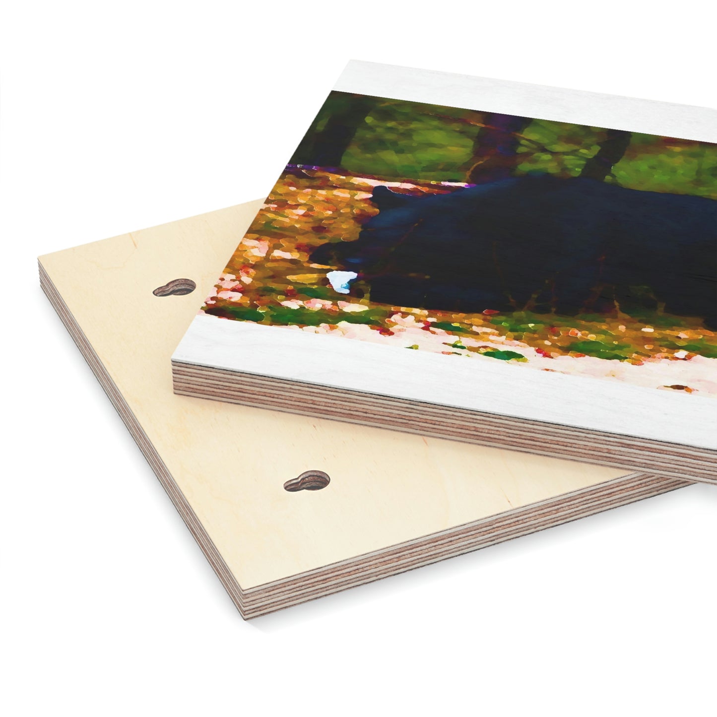 Wood Canvas ... RCY: "Rhett Creek Yogi ... '500 Lbs Of Autumn Season Hunger' ..."  ... September 2022 ... Central Idaho ... Original Works ...
