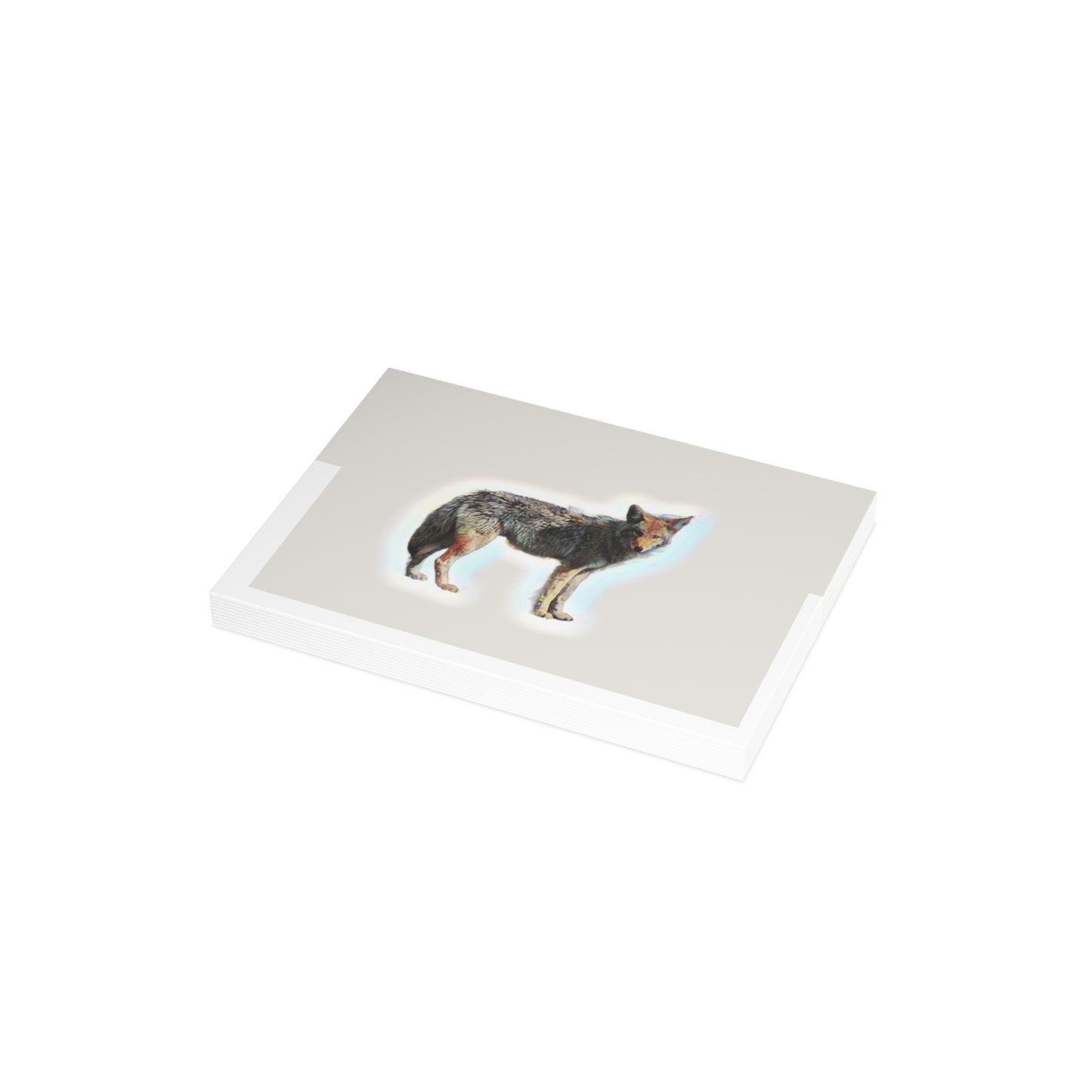 Greeting Cards (1, 10, 30, and 50pcs) ... Coyote ... "Yosemite Valley: Circa May23 ... KPH Base Photo" ... Original Works ...