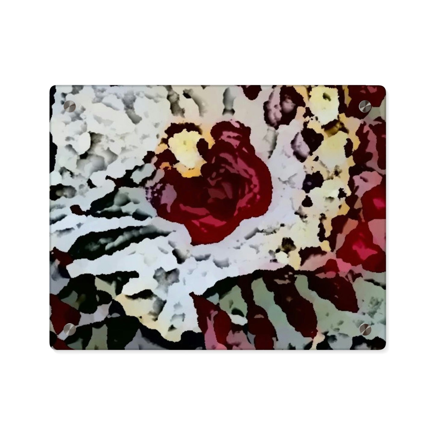 Acrylic Wall Art Panels ... "A Friendly Flower" ... Pointsettia 'Pointing' ... Original Works ... (Supplied Photograph) ...