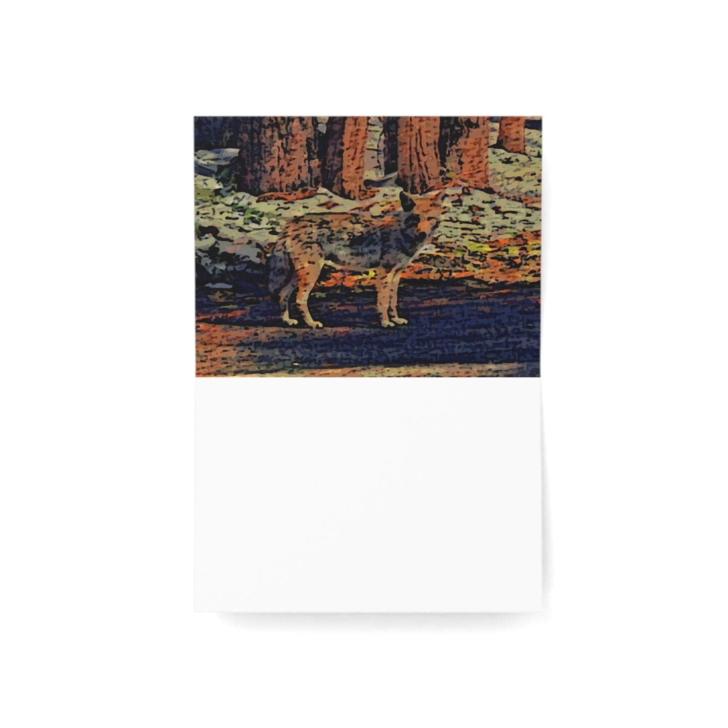 Greeting Cards (1, 10, 30, and 50pcs) ... Coyote ... "Yosemite Valley: Circa May23 ... KPH Base Photo" ... Original Works ...
