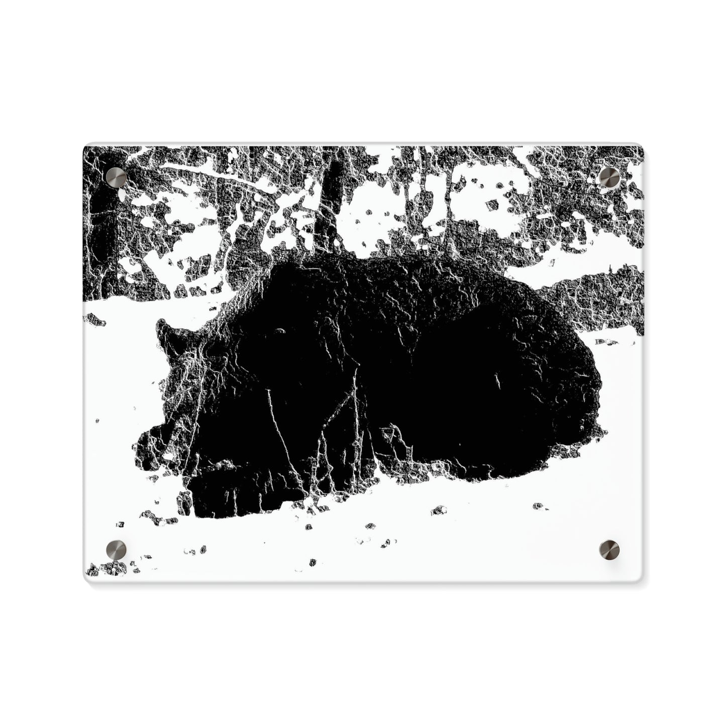Acrylic Wall Art Panels ... RCY: "Rhett Creek Yogi ... '500 Lbs Of Autumn Season Hunger' ..."  ... September 2022 ... Central Idaho ... Original Works ...