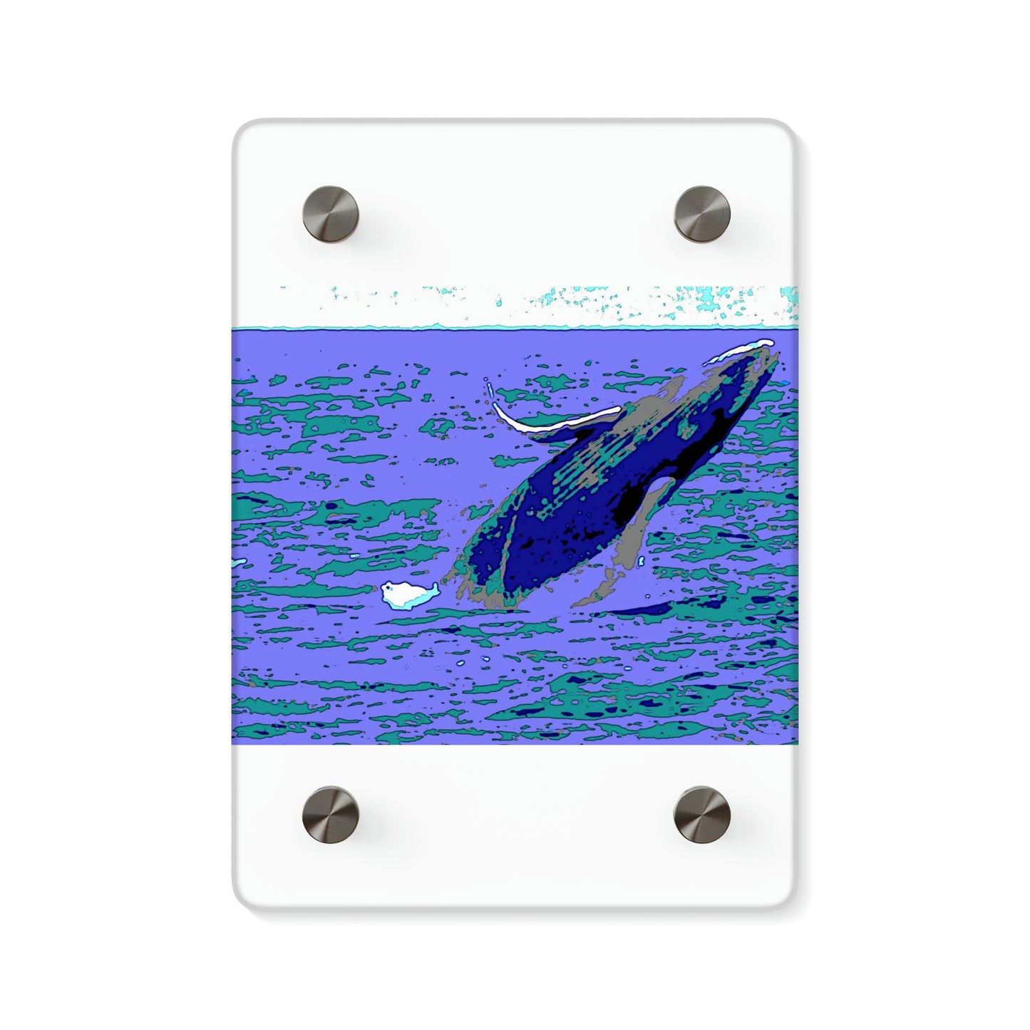 Acrylic Wall Art Panels ... Baby Humpback Breaching ... Maui, HI: April 2022 ... "Family Archives: KPH" ... Original Works ...