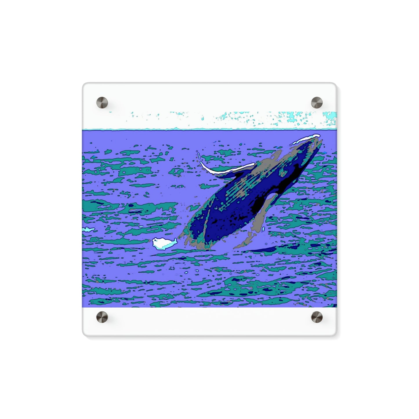 Acrylic Wall Art Panels ... Baby Humpback Breaching ... Maui, HI: April 2022 ... "Family Archives: KPH" ... Original Works ...