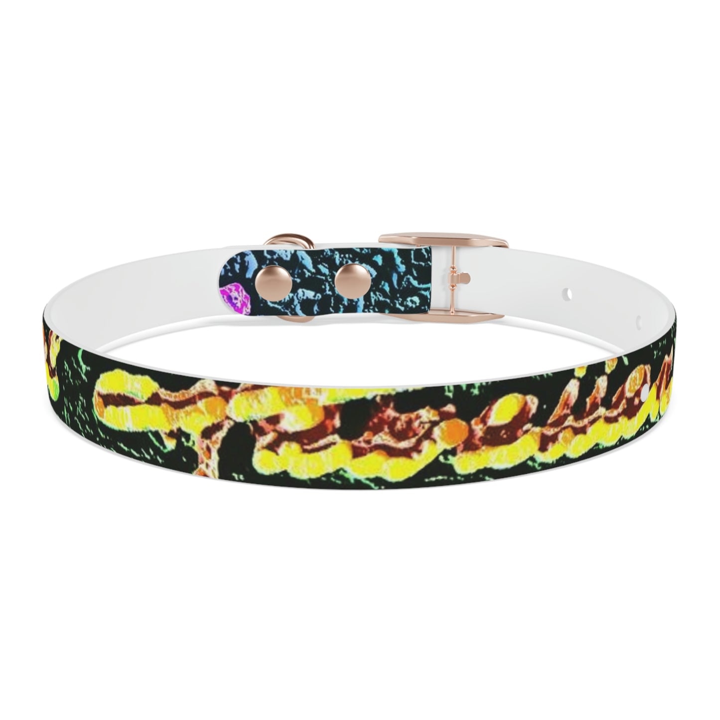 Dog Collar ... "La Grande Entree" At: 'The Pink Palace' ... The Royal Hawai'ian ... Honolulu, HI ... '27Oct2014' ... Original Works ...