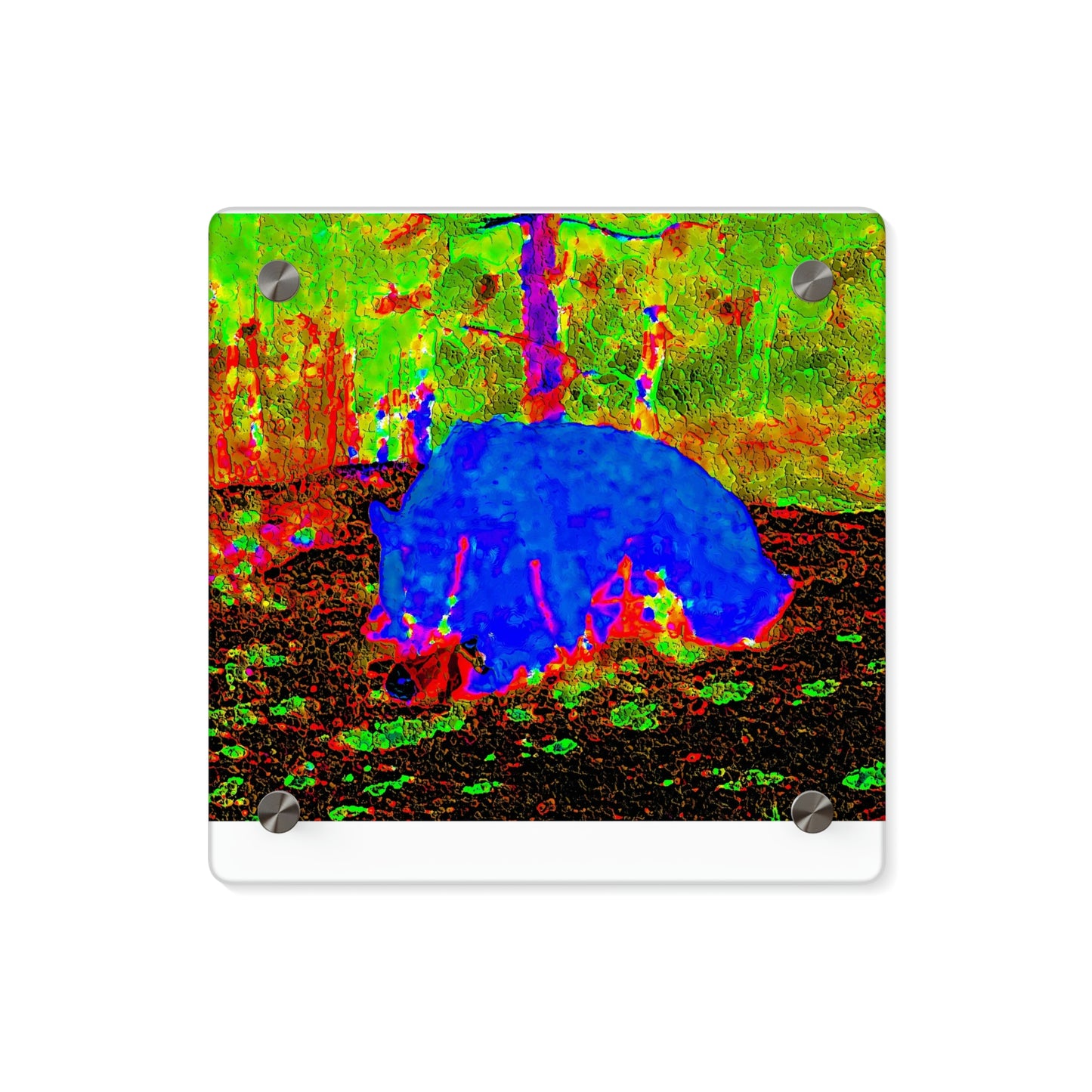 Acrylic Wall Art Panels ... RCY: "Rhett Creek Yogi ... '500 Lbs Of Autumn Season Hunger' ..."  ... September 2022 ... Central Idaho ... Original Works ...