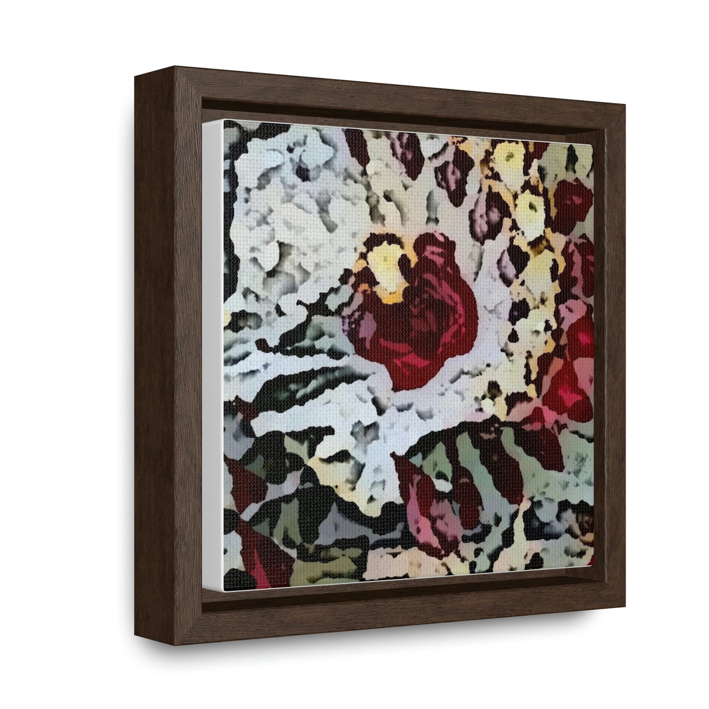 Gallery Canvas Wraps, Square Frame ... "A Friendly Flower" ... Pointsettia 'Pointing' ... Original Works ... (Supplied Photograph) ...