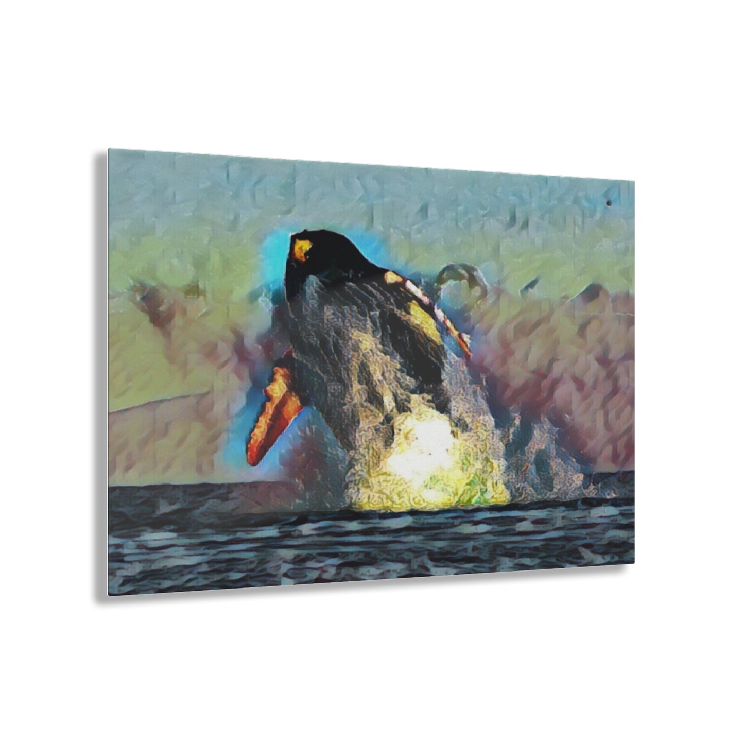 Acrylic Prints ... An Extraordinary Humpback Breach ... 'With Explosive Energy' ... Family Archives (KPH) ... Circa: 21st Century. Maui, HI ... Original Works ...