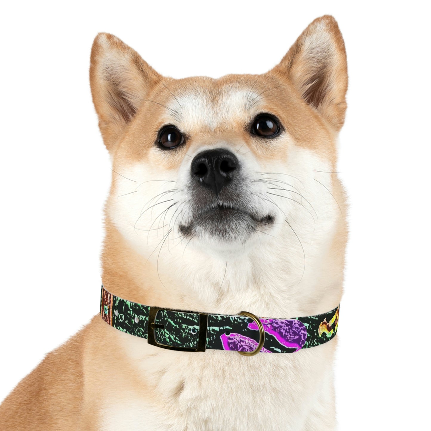 Dog Collar ... "La Grande Entree" At: 'The Pink Palace' ... The Royal Hawai'ian ... Honolulu, HI ... '27Oct2014' ... Original Works ...