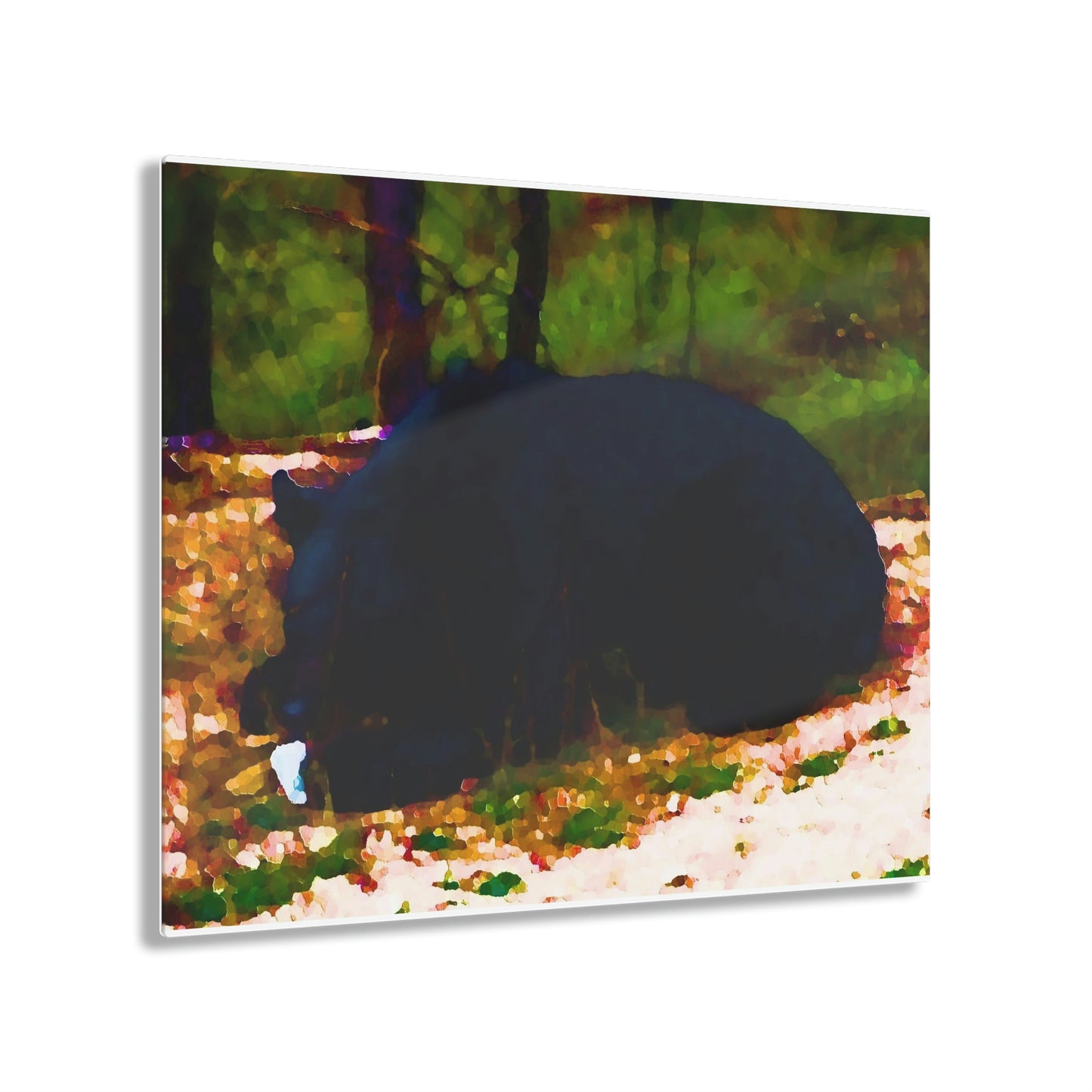 Acrylic Prints ... RCY: "Rhett Creek Yogi ... '500 Lbs Of Autumn Season Hunger' ..."  ... September 2022 ... Central Idaho ... Original Works ...
