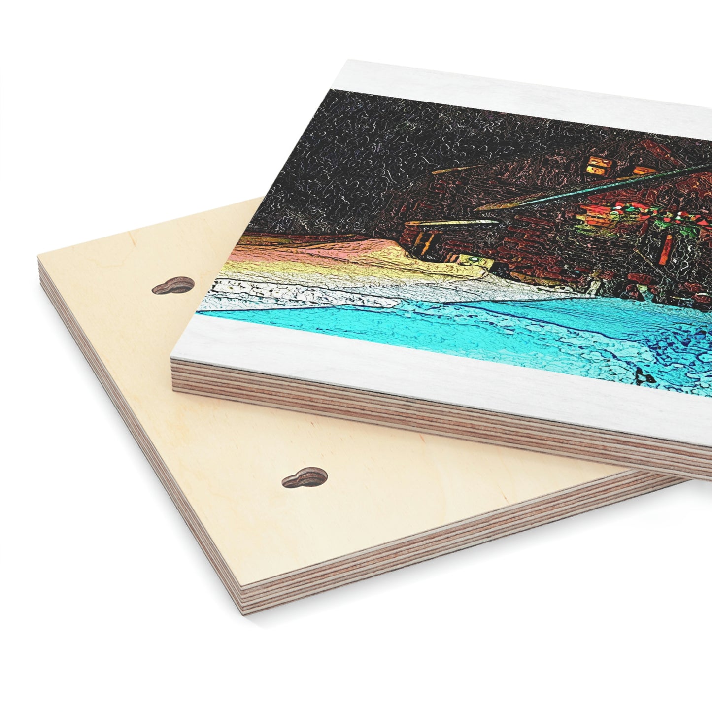 Wood Canvas ... "A Very, Very Snowy November Morning" ...
