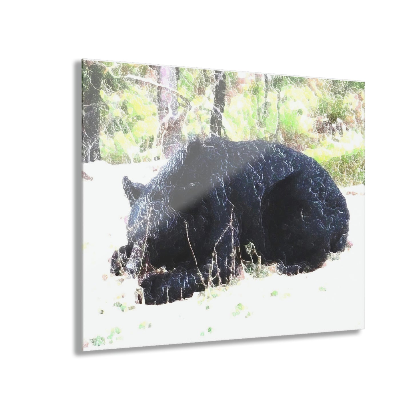 Acrylic Prints (French Cleat Hanging) ... RCY: "Rhett Creek Yogi ... '500 Lbs Of Autumn Season Hunger' ..."  ... September 2022 ... Central Idaho ... Original Works ...