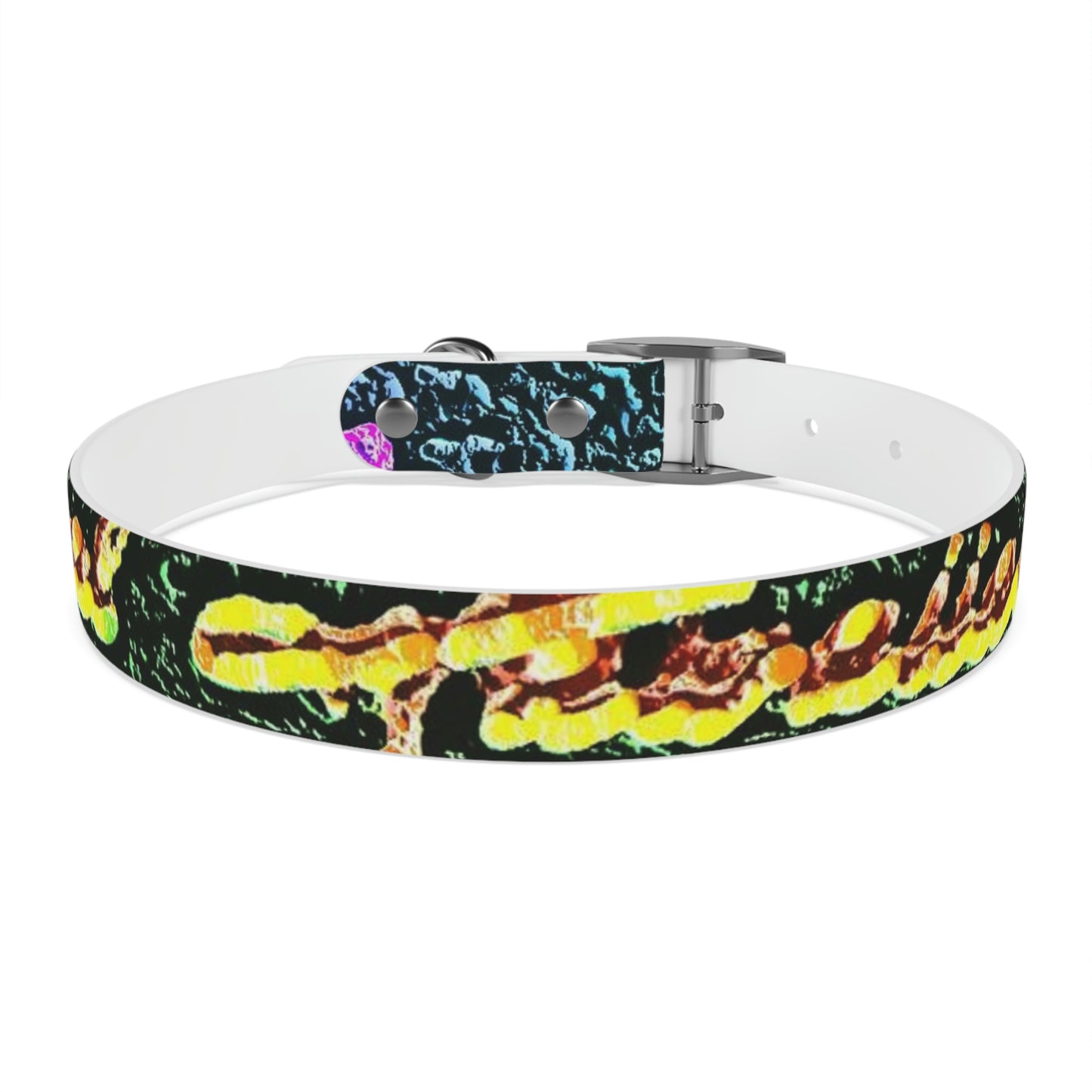 Dog Collar ... "La Grande Entree" At: 'The Pink Palace' ... The Royal Hawai'ian ... Honolulu, HI ... '27Oct2014' ... Original Works ...