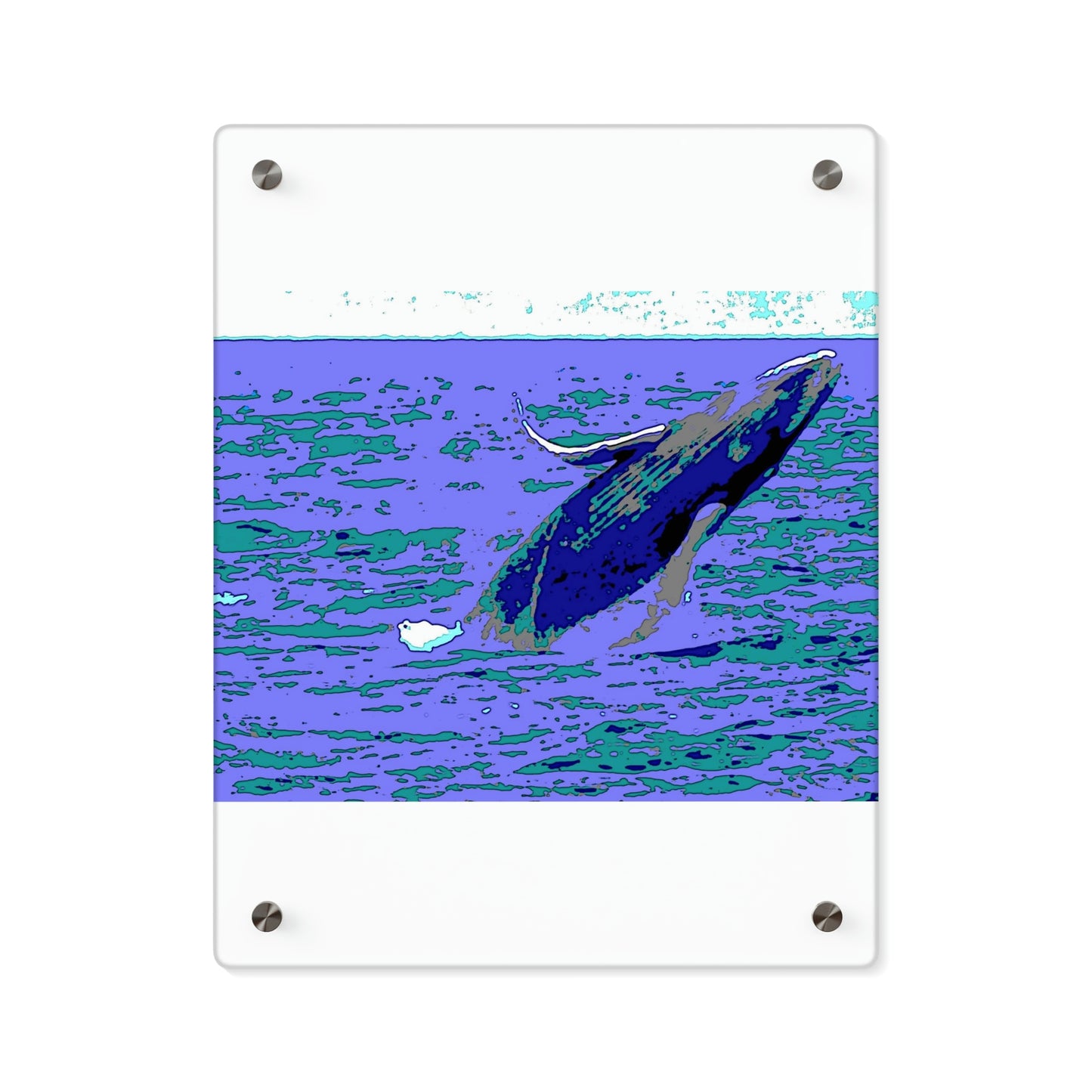 Acrylic Wall Art Panels ... Baby Humpback Breaching ... Maui, HI: April 2022 ... "Family Archives: KPH" ... Original Works ...