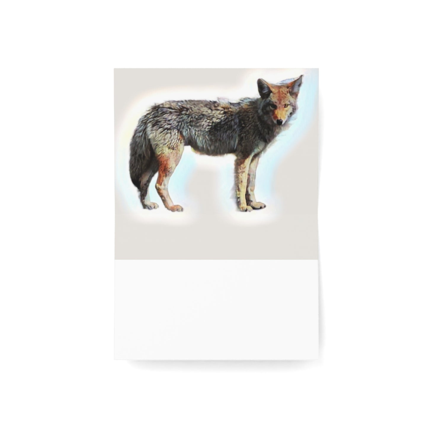 Greeting Cards (1, 10, 30, and 50pcs) ... Coyote ... "Yosemite Valley: Circa May23 ... KPH Base Photo" ... Original Works ...